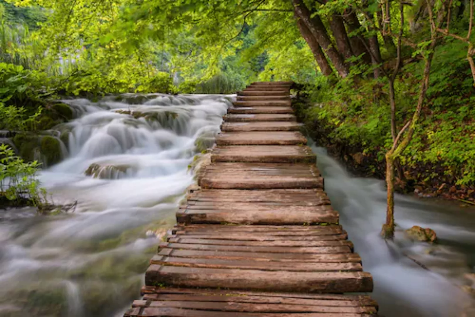 Papermoon Fototapete »Waldbrücke über Fluss« günstig online kaufen