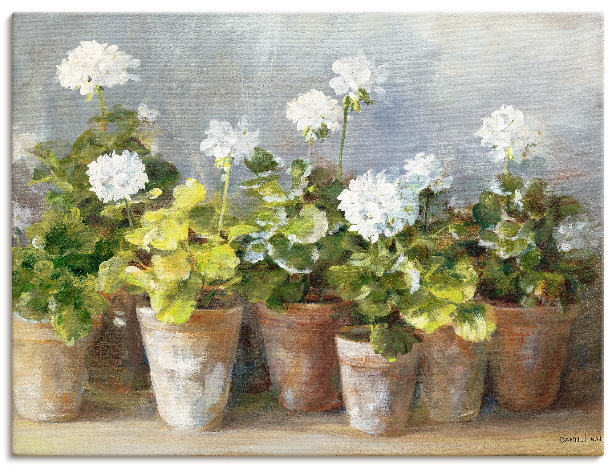 Artland Wandbild »Weiße Geranien«, Blumen, (1 St.), als Leinwandbild, Poste günstig online kaufen