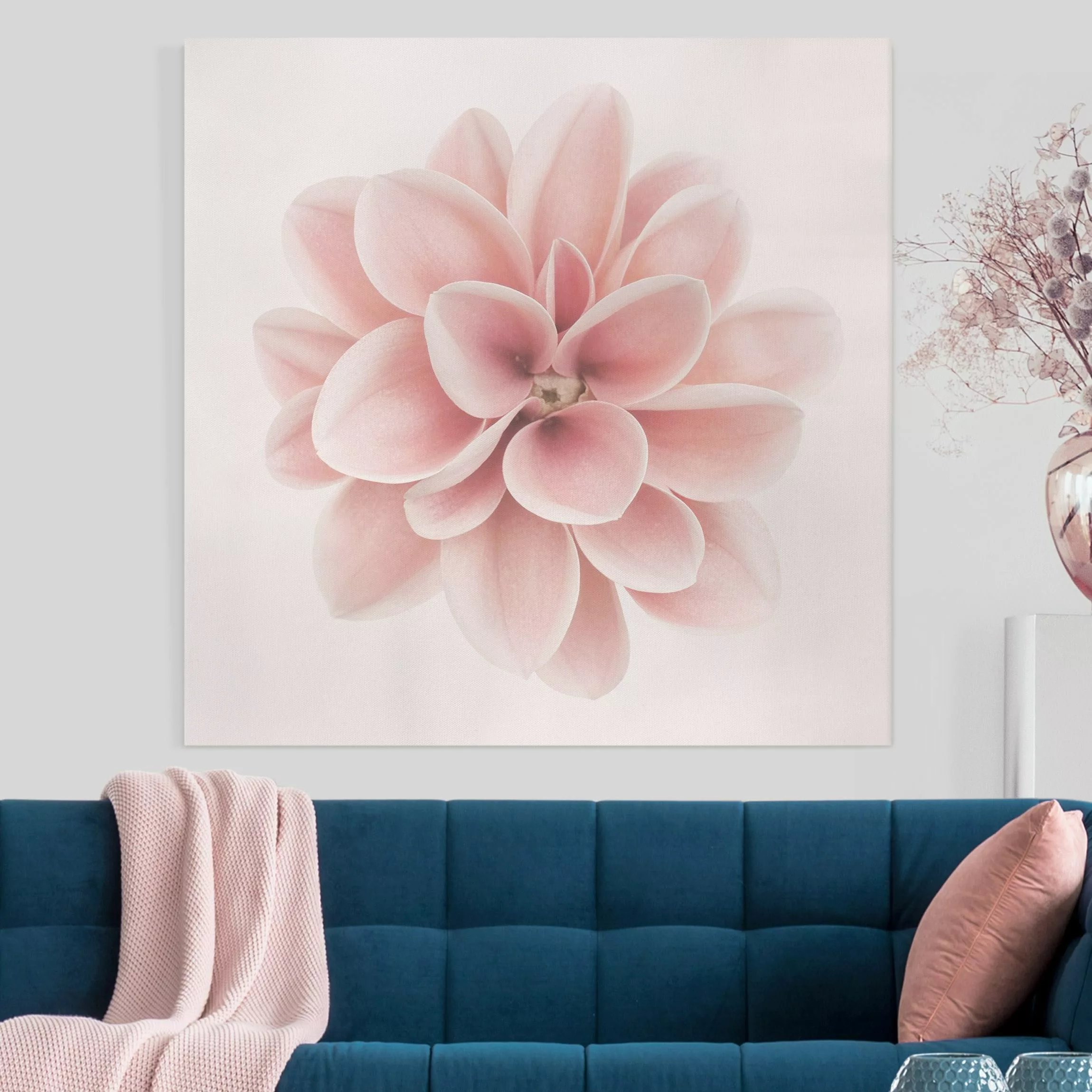 Leinwandbild Dahlie Rosa Pastell Blume Zentriert günstig online kaufen