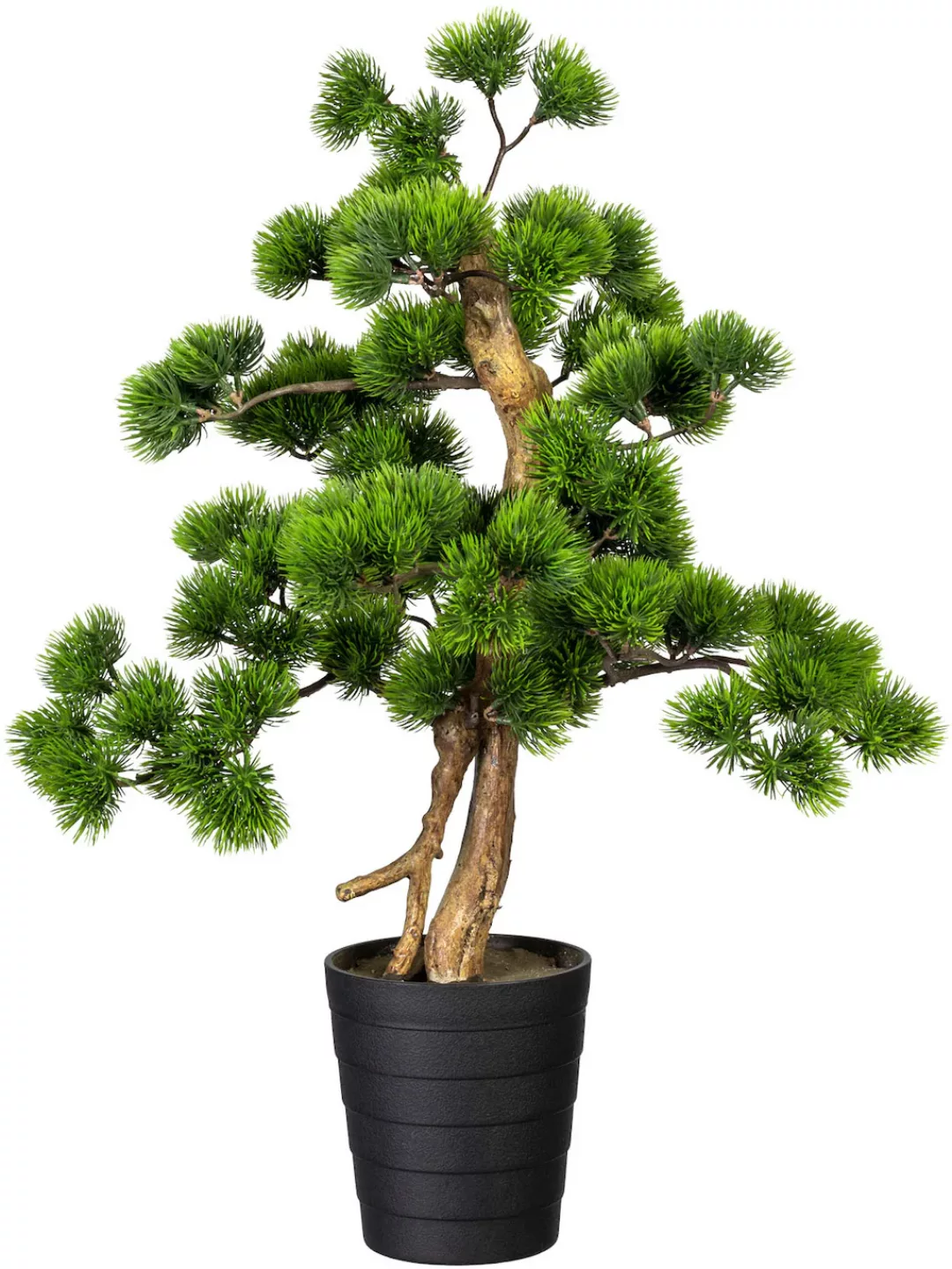 Creativ green Kunstbonsai "Bonsai Kiefer" günstig online kaufen