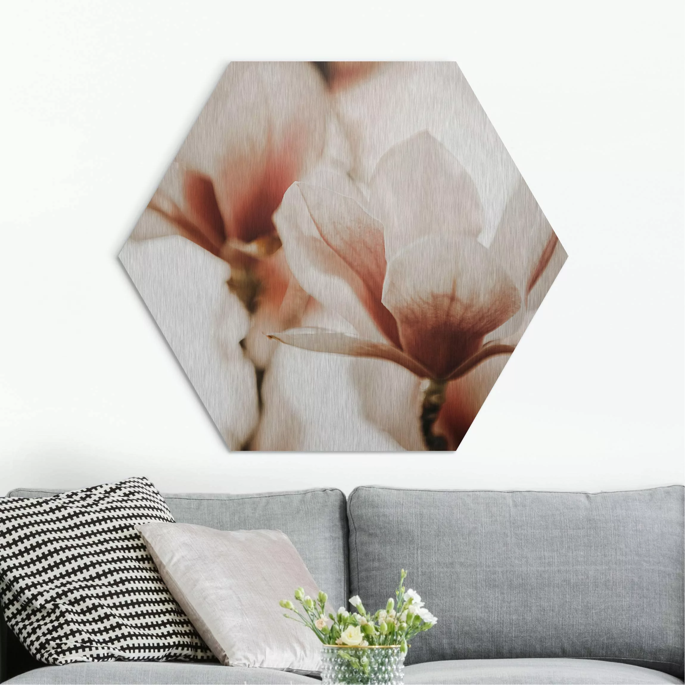 Hexagon-Alu-Dibond Bild Zarte Magnolienblüten im Lichtspiel günstig online kaufen