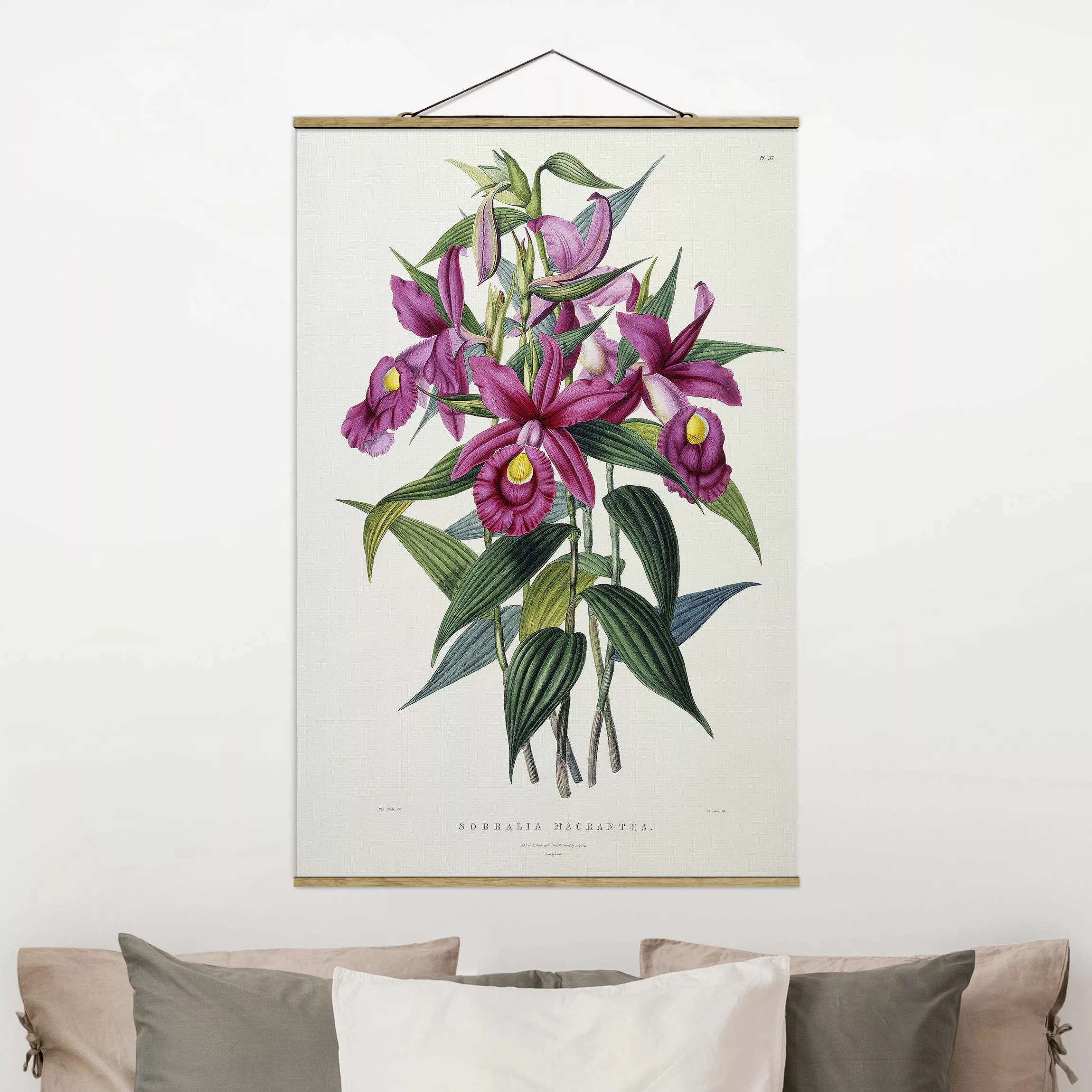 Stoffbild Blumen mit Posterleisten - Hochformat Maxim Gauci - Orchidee I günstig online kaufen