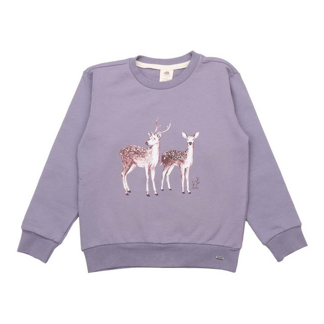 Walkiddy Sweatshirt günstig online kaufen