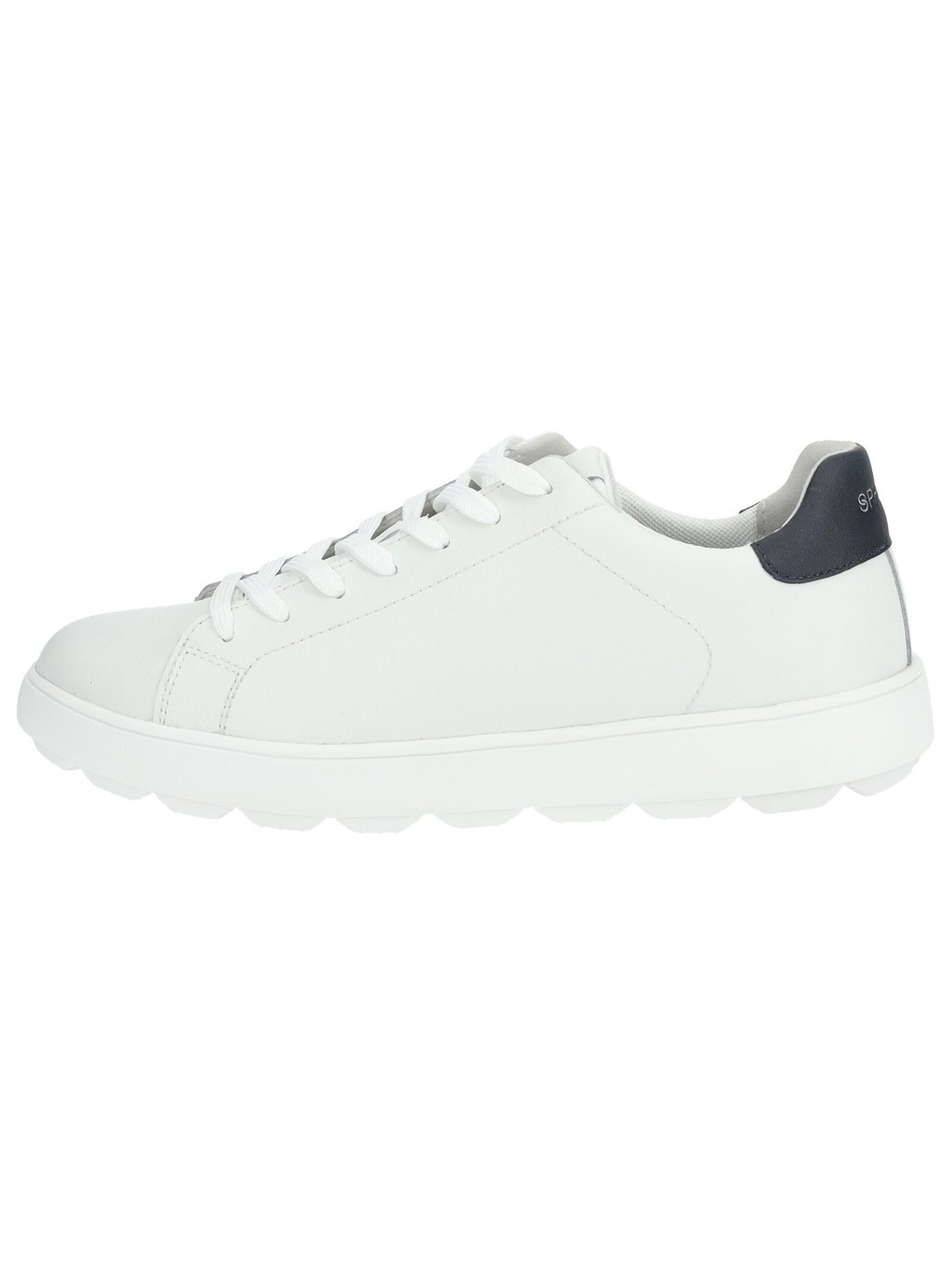 Geox Sneaker "Geox Sneaker Leder/Textil" günstig online kaufen