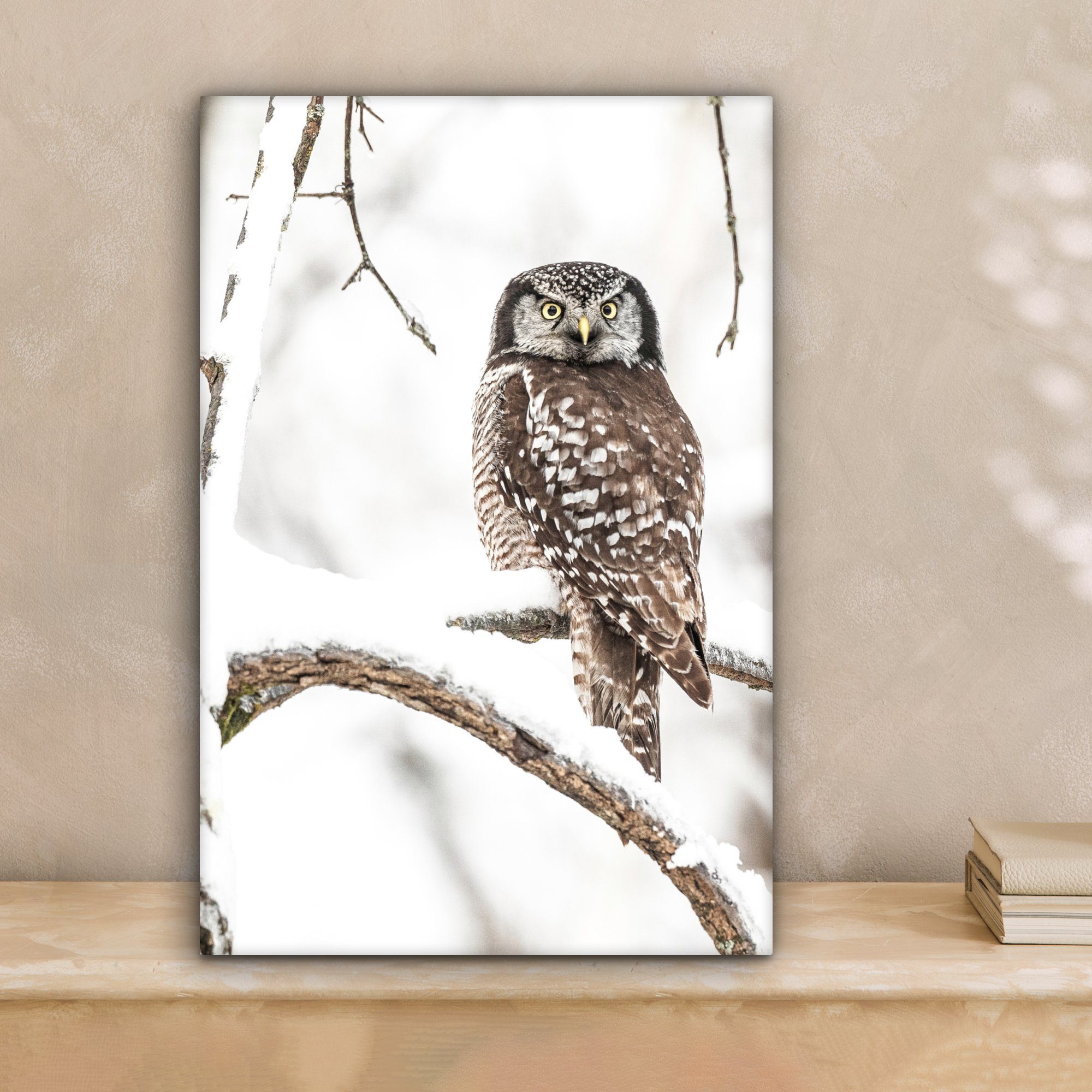 OneMillionCanvasses® Leinwandbild Eule - Schnee - günstig online kaufen