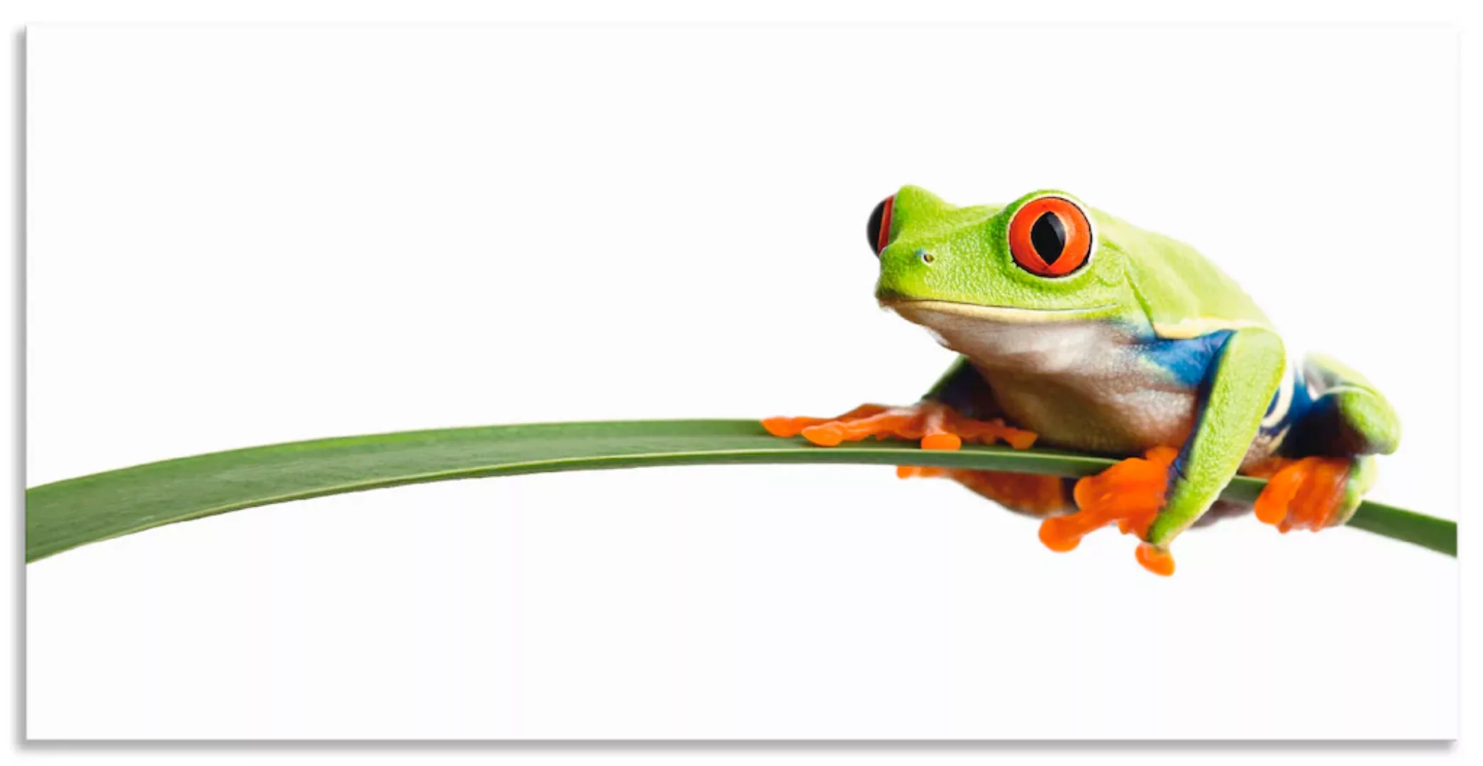 Artland Wandbild "Frosch auf einem Blatt", Wassertiere, (1 St.), als Alubil günstig online kaufen