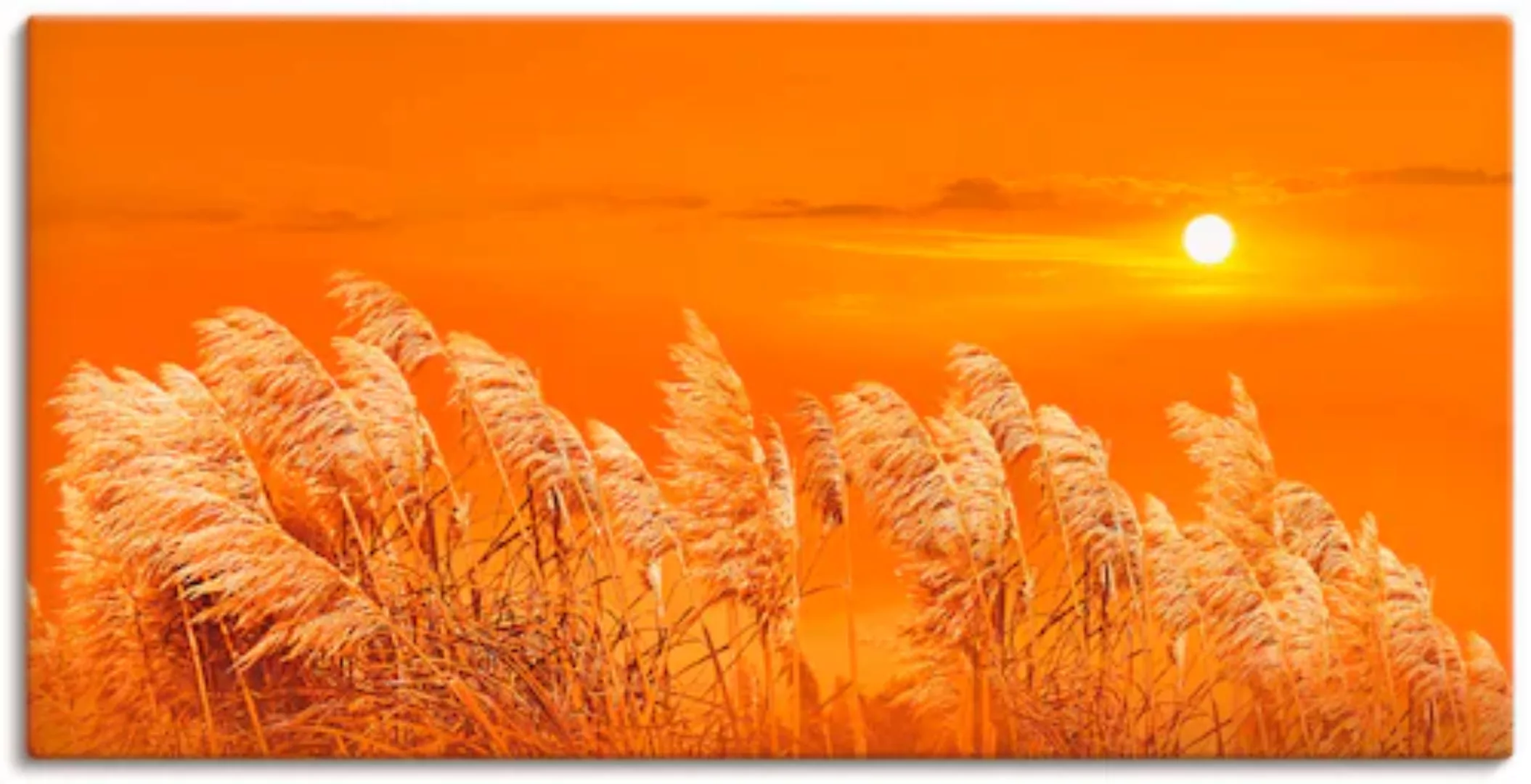 Artland Wandbild "Im Wind", Gräser, (1 St.), als Leinwandbild in verschied. günstig online kaufen