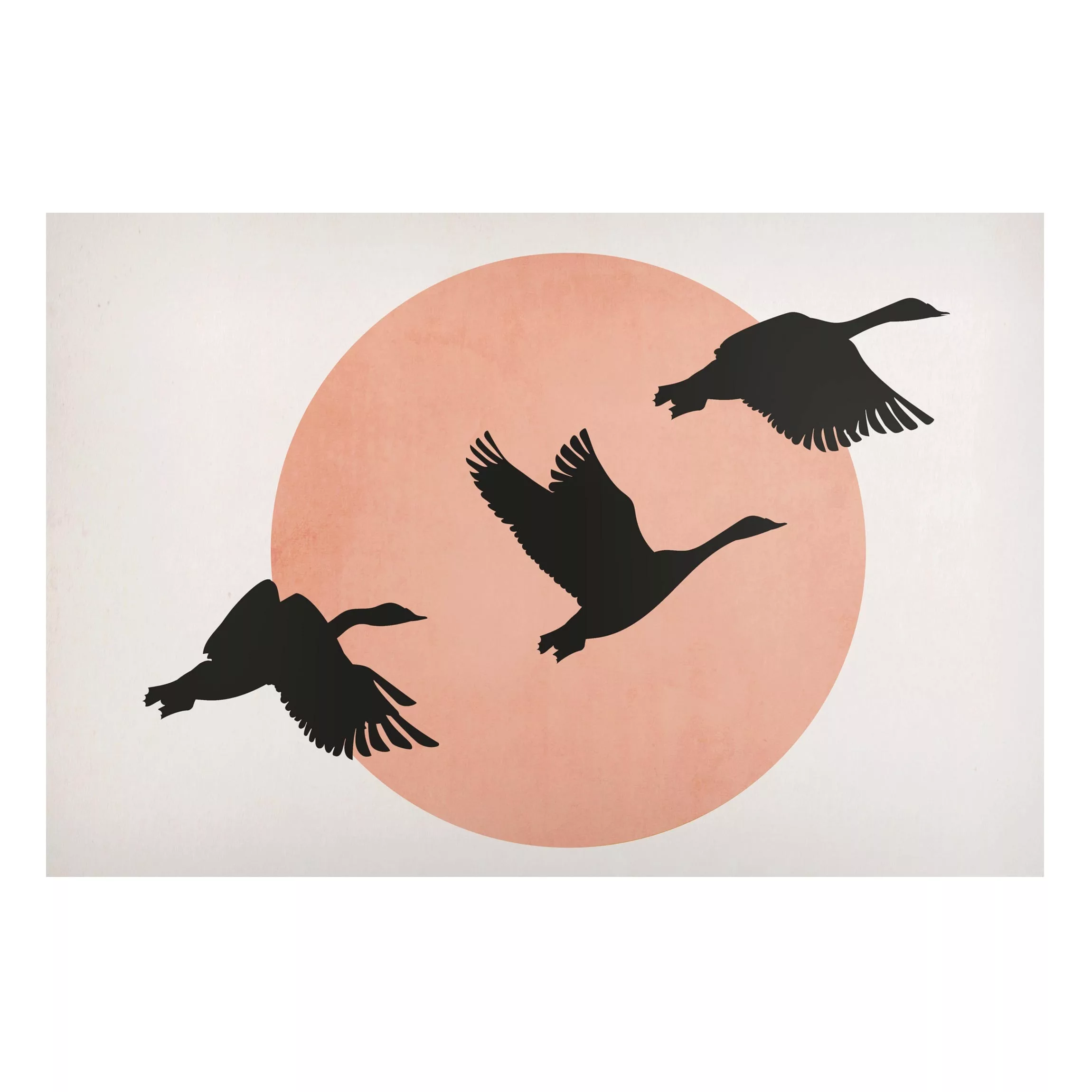 Magnettafel Vögel vor rosa Sonne III günstig online kaufen