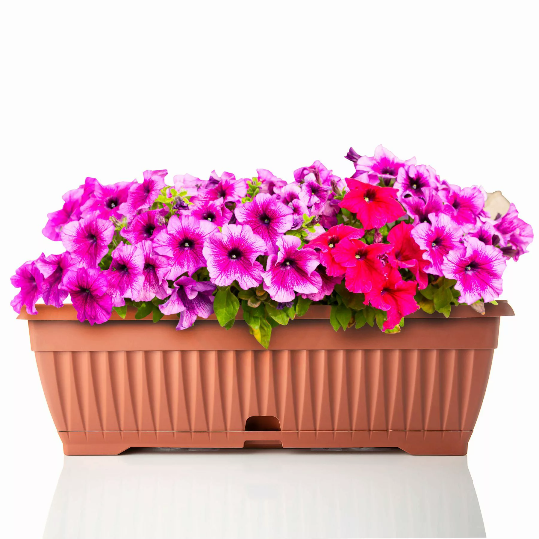 BigDean Blumenkasten Blumenkasten 50 cm mit günstig online kaufen