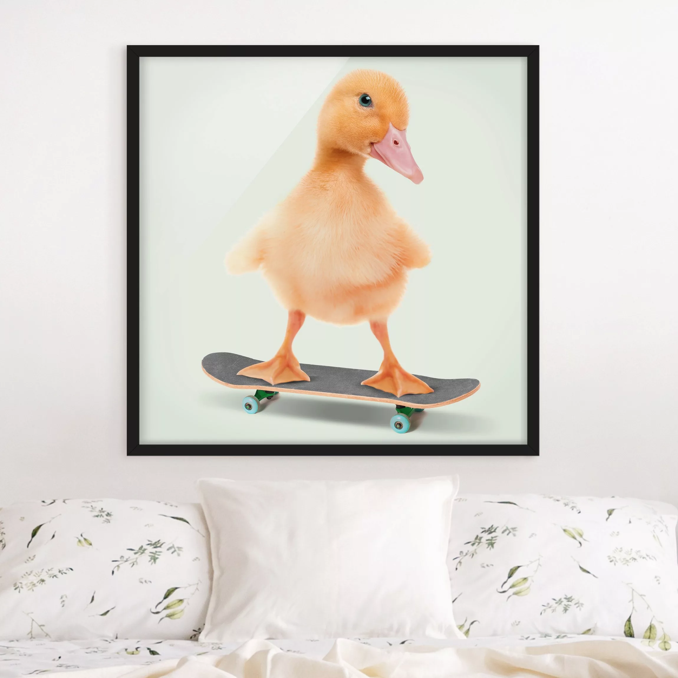 Bild mit Rahmen Skate Ente günstig online kaufen