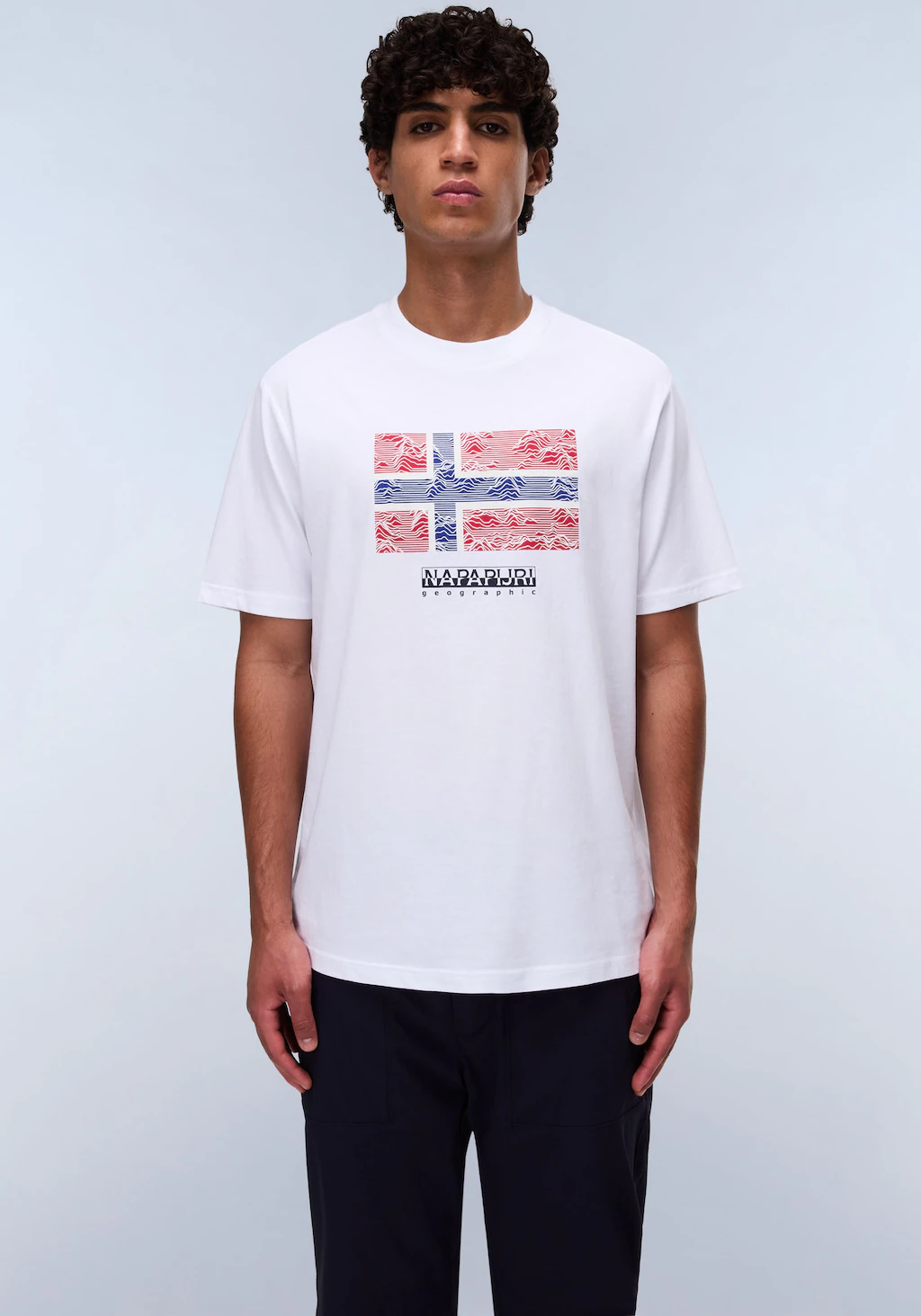 Napapijri T-Shirt "DRAPEAU", mit Print, Rundhals, Jersey günstig online kaufen