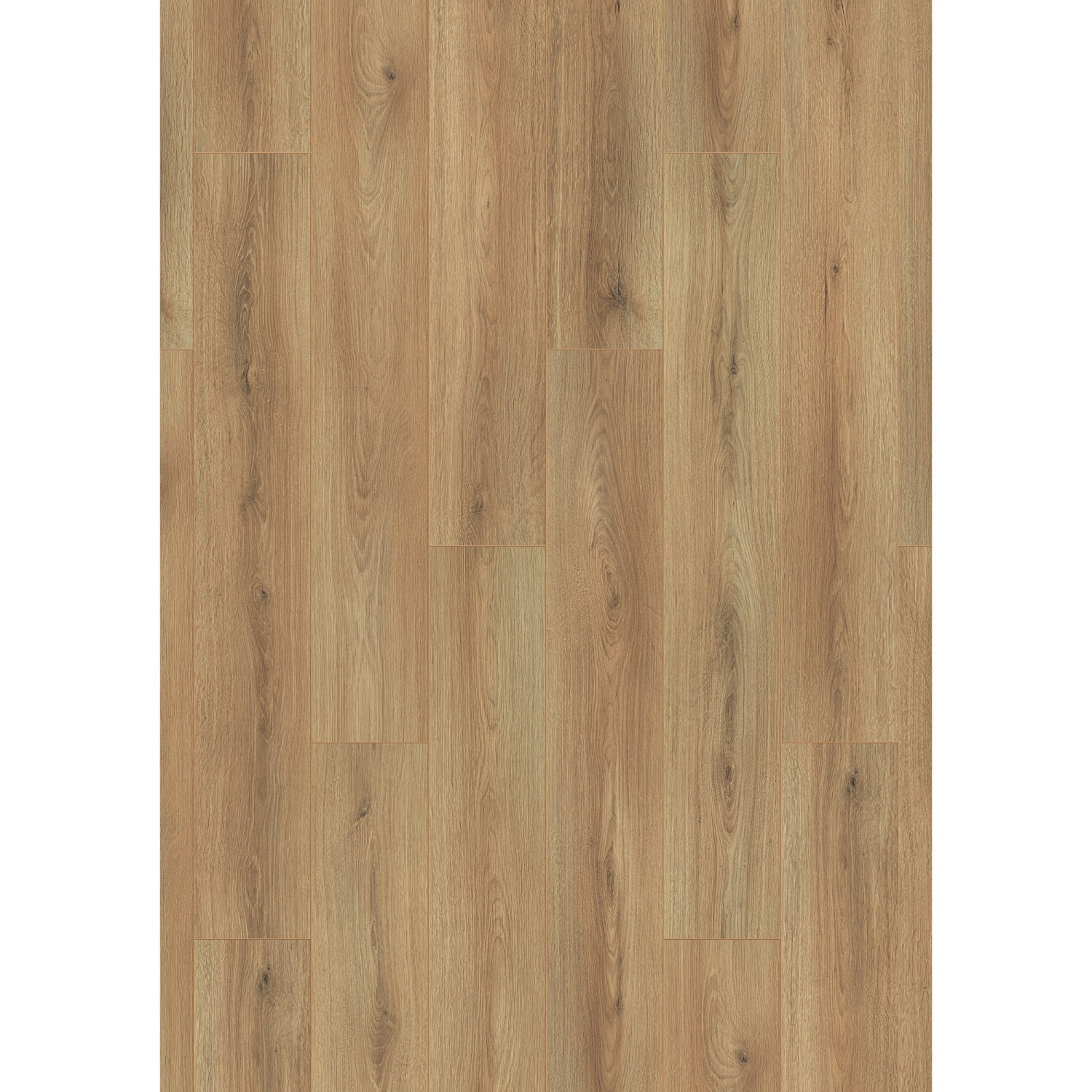 Laminat 7 +1 mm Eiche mit Trittschalldämmung günstig online kaufen