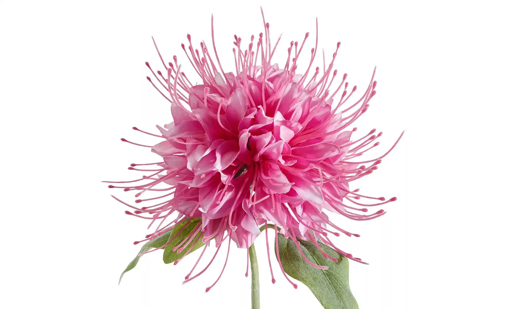 Kunstblume Monarda ¦ rosa/pink ¦ Kunststoff Accessoires > Kunstblumen - Höf günstig online kaufen