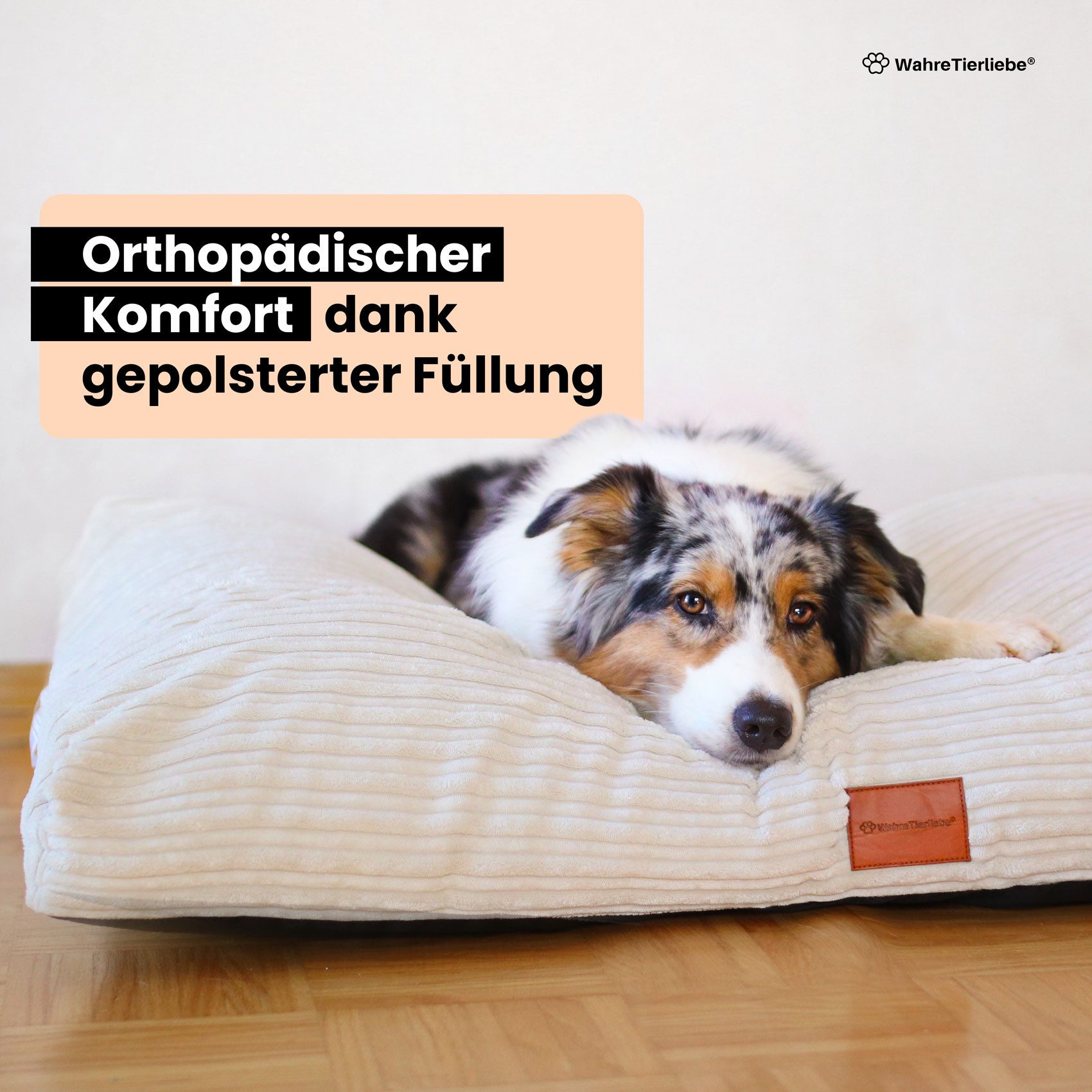 Wahre Tierliebe Tierbett Cozy, kuschliges Hundebett, günstig online kaufen