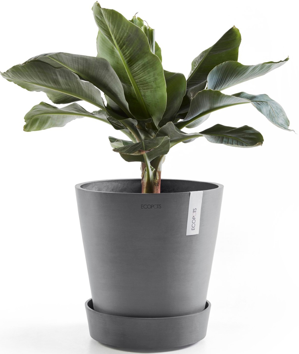 ECOPOTS Topfuntersetzer »mit Rollen 60 Grau«, für innen und außen: frostsic günstig online kaufen