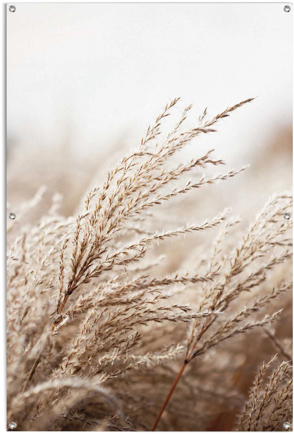 Reinders Poster "Gras", leichtes und wasserfestes Gartenposter für den Auße günstig online kaufen