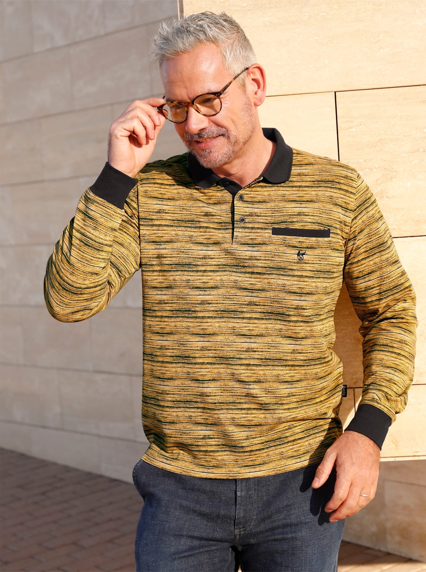 Hajo Poloshirt "Langarm-Poloshirt", (1 tlg.) günstig online kaufen