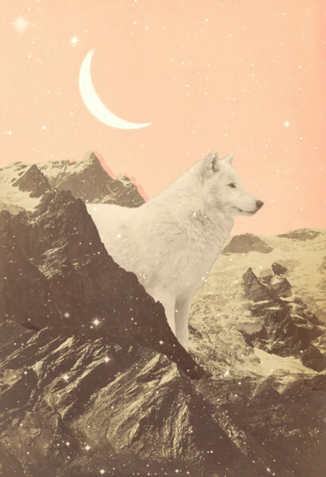 Poster / Leinwandbild - Großer Weißer Wolf In Den Bergen günstig online kaufen