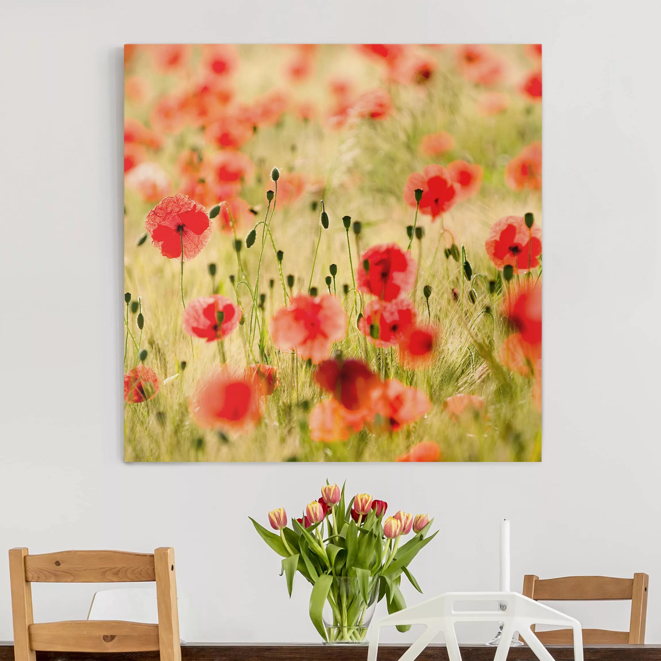 Leinwandbild Blumen - Quadrat Summer Poppies günstig online kaufen