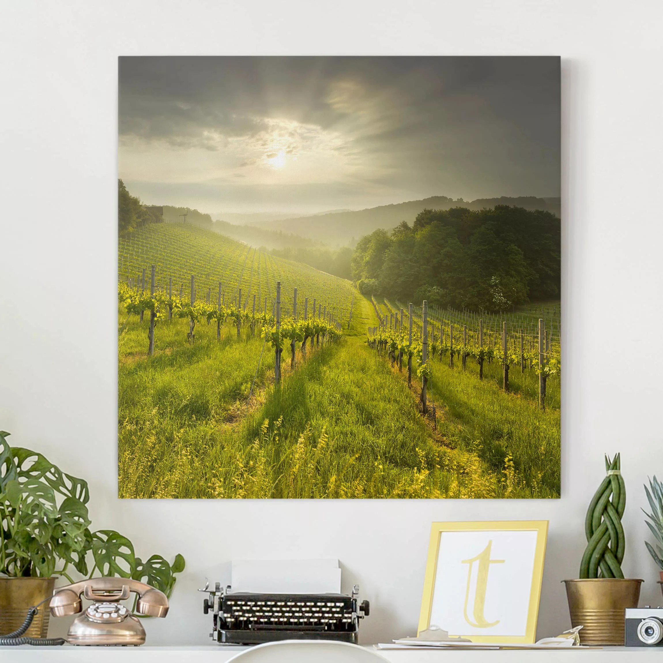 Leinwandbild Natur & Landschaft - Quadrat Sonnenstrahlen Weinberg günstig online kaufen