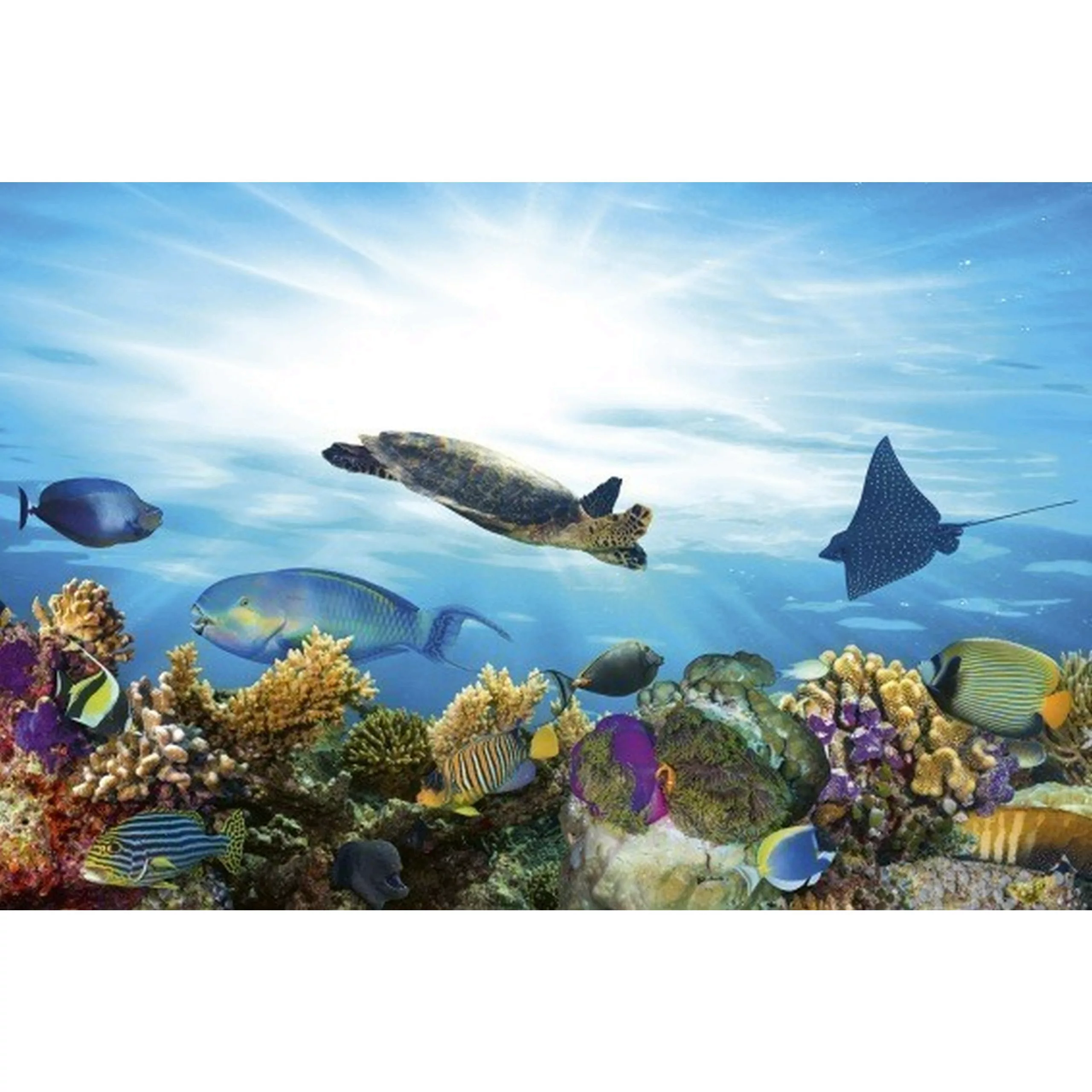 Fototapete FISH  | MS-5-0216 | Blau | Digitaldruck auf Vliesträger günstig online kaufen