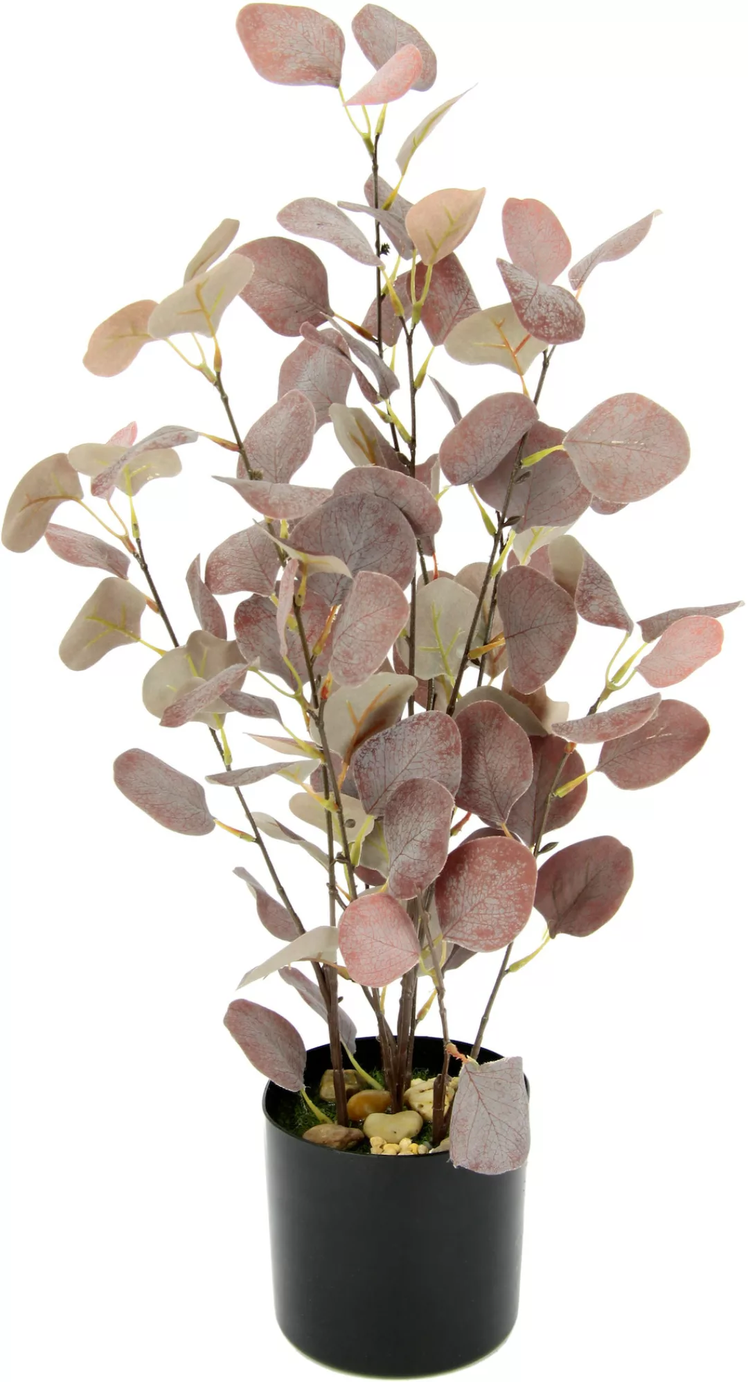 I.GE.A. Kunstpflanze "Eukalyptus", Im Topf, mit Natursteinchen günstig online kaufen