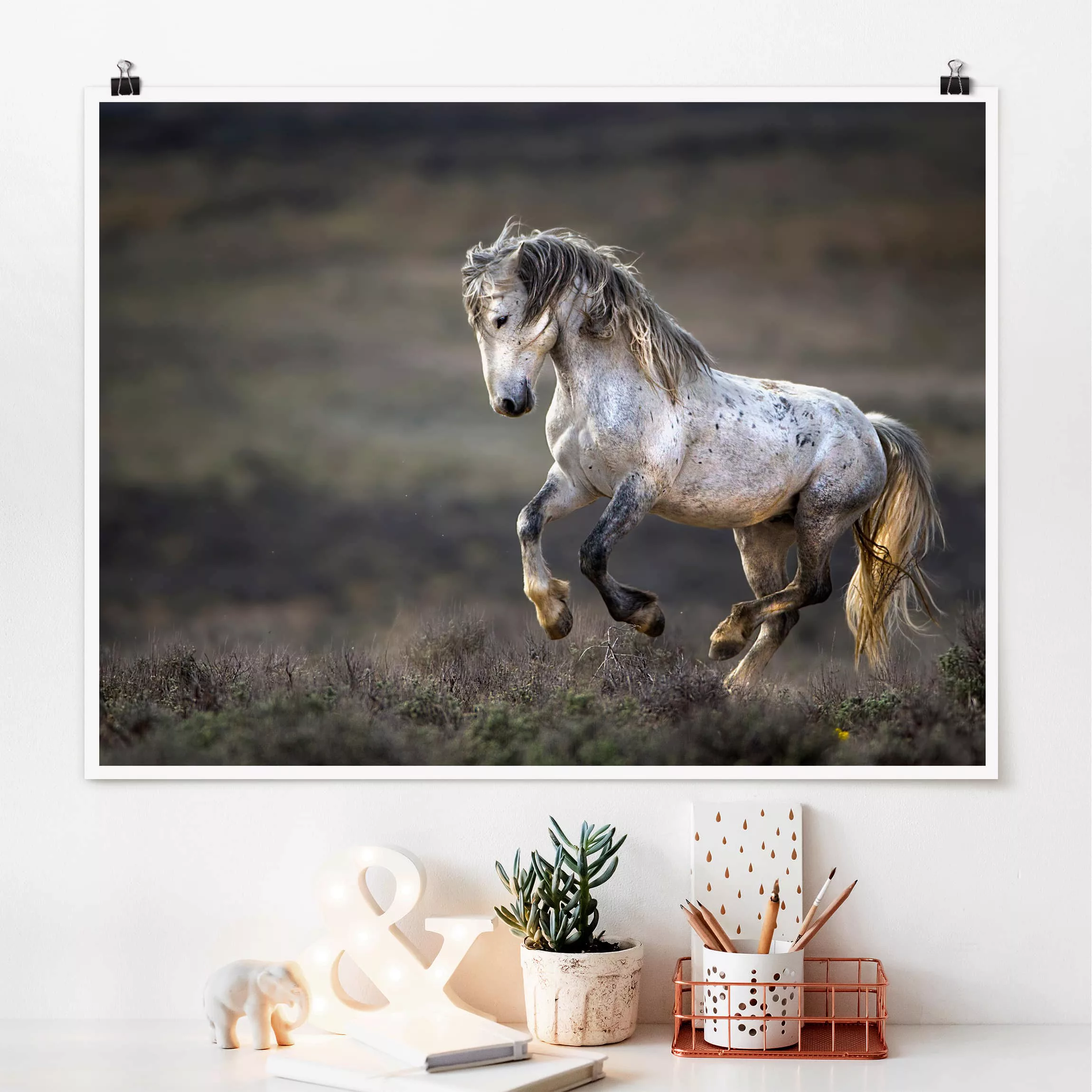 Poster Tiere - Querformat Im Galopp durch die Heide günstig online kaufen