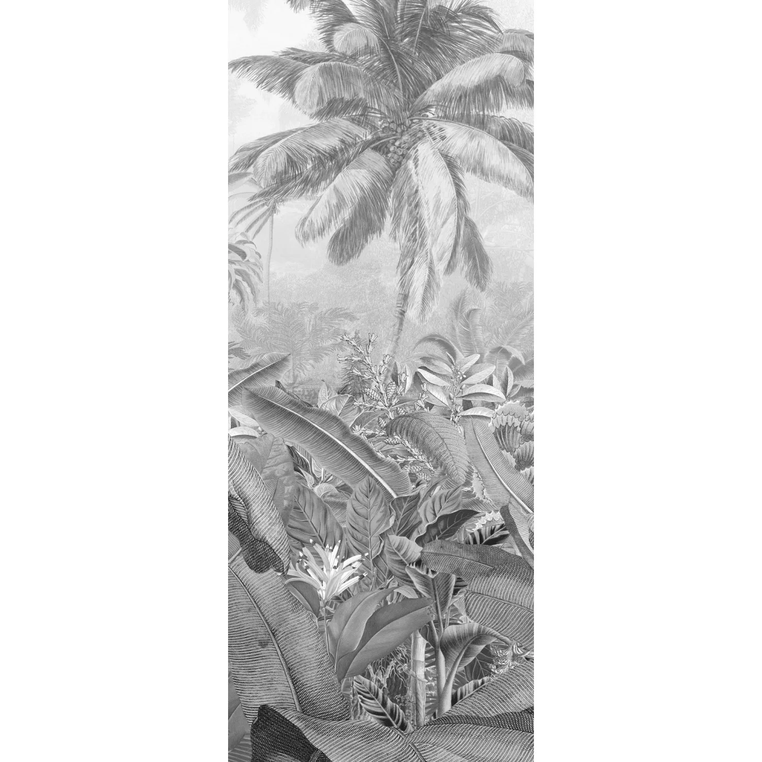 Komar Vliestapete »Amazonia Black and White Panel« günstig online kaufen
