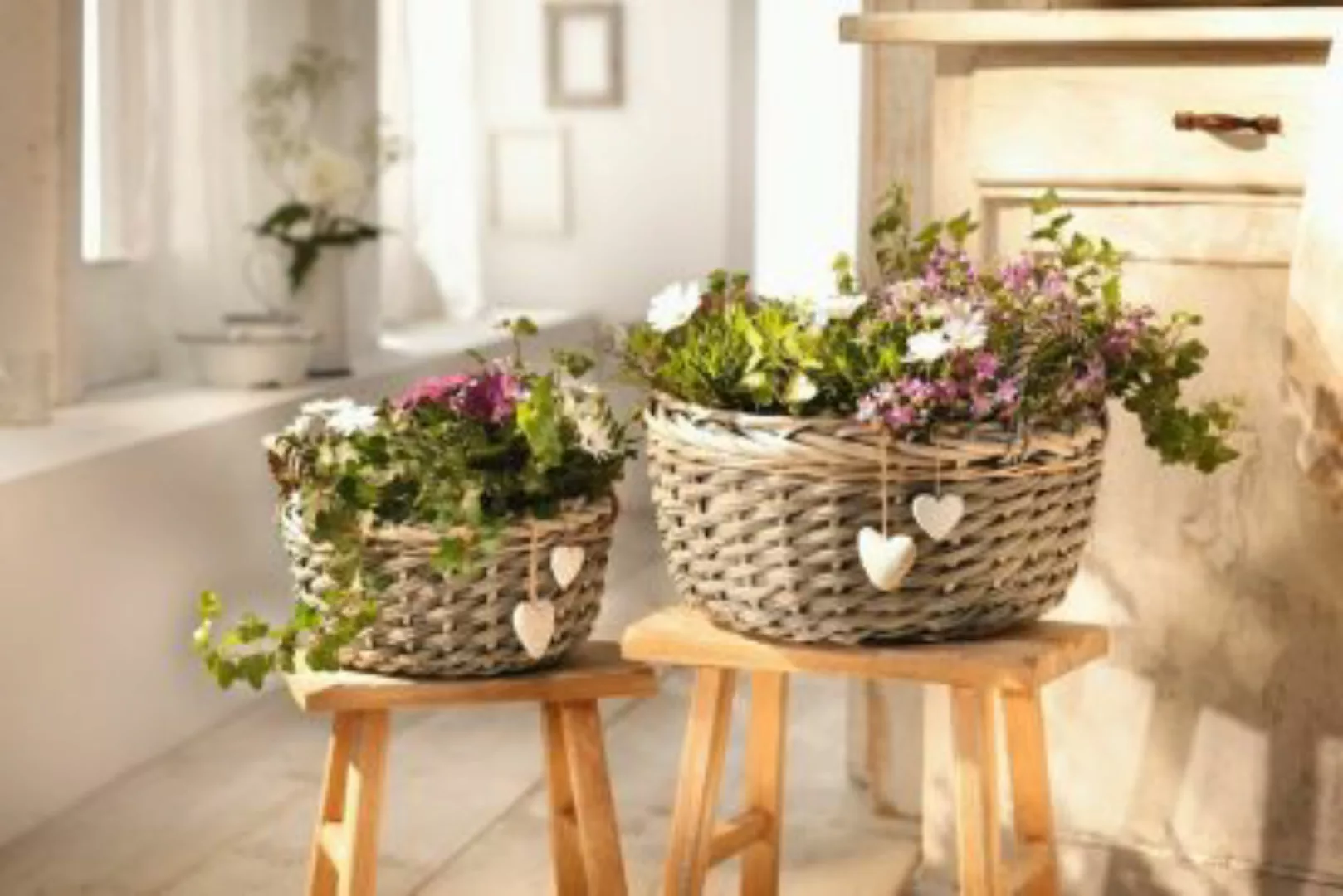 HOME Living Pflanz-Korb Herzen Blumentöpfe grau günstig online kaufen