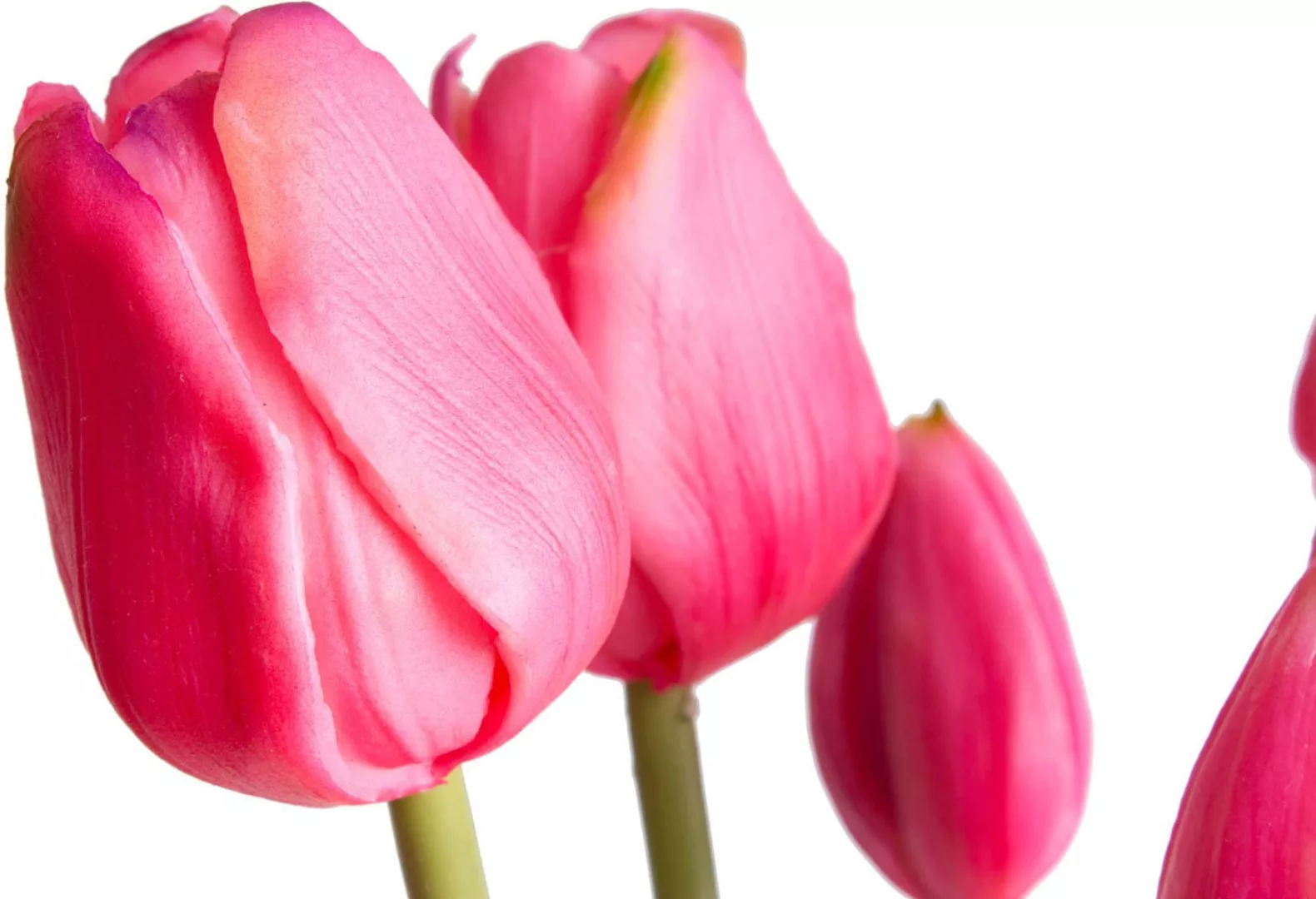 Botanic-Haus Kunstblume "Tulpenbündel" günstig online kaufen
