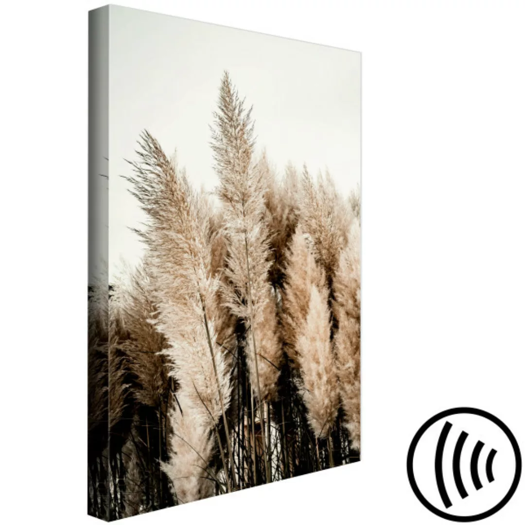 Bild auf Leinwand Plume Of Dreams (1 Part) Vertical XXL günstig online kaufen