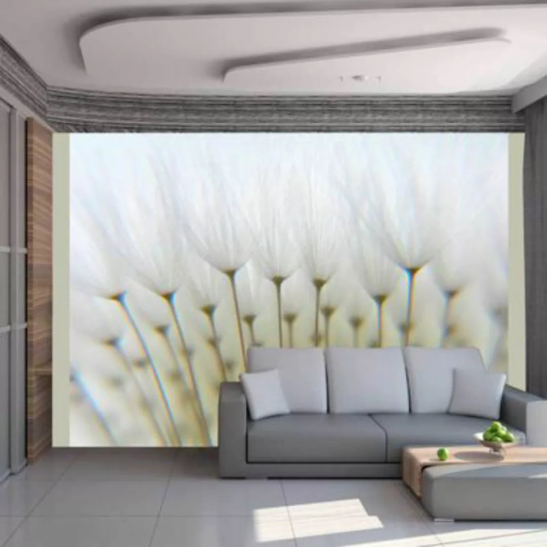 artgeist Fototapete Ein Wald aus Pusteblumen mehrfarbig Gr. 300 x 231 günstig online kaufen