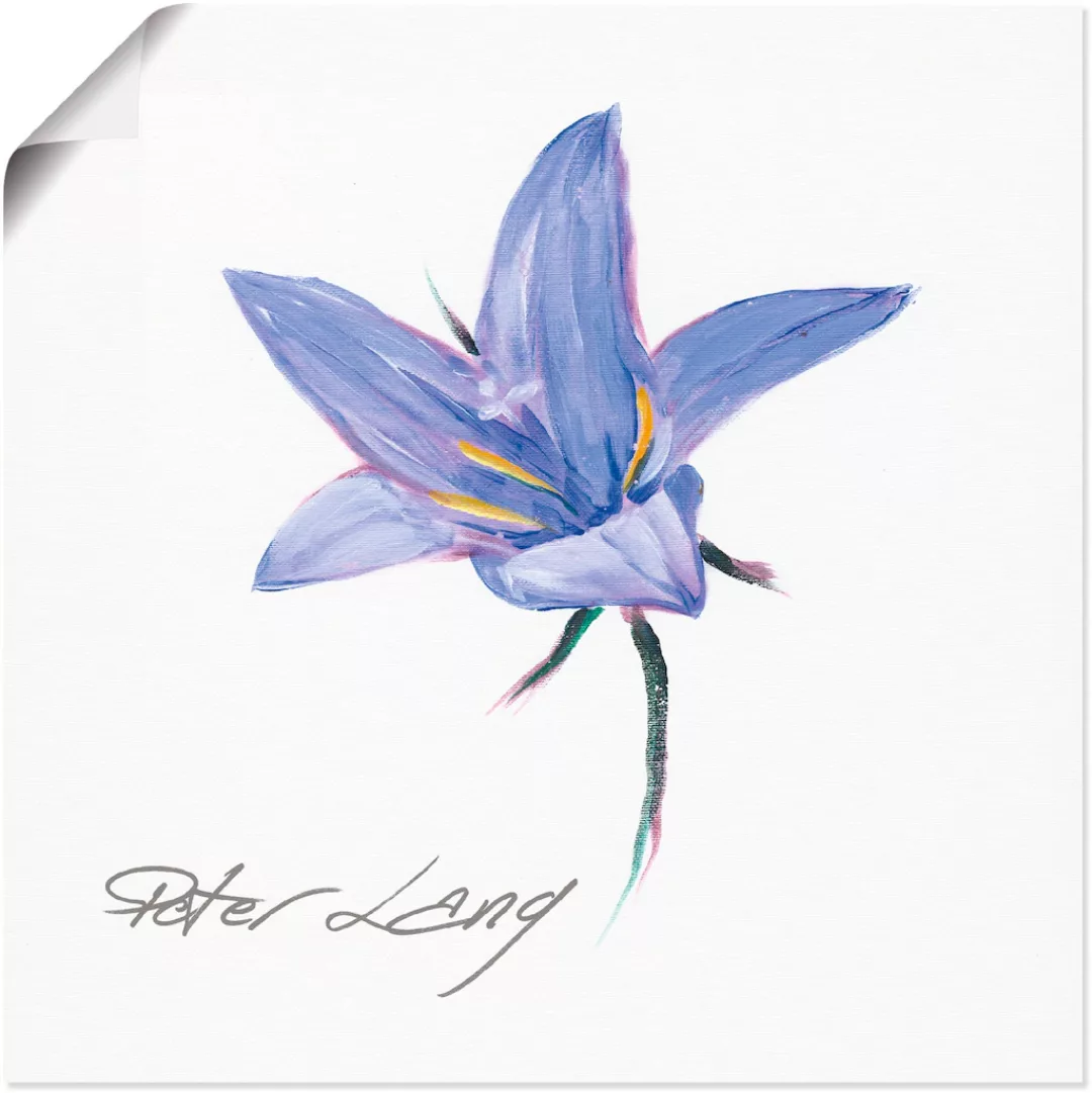 Artland Poster "Blume weiß II", Blumen, (1 St.), als Alubild, Leinwandbild, günstig online kaufen