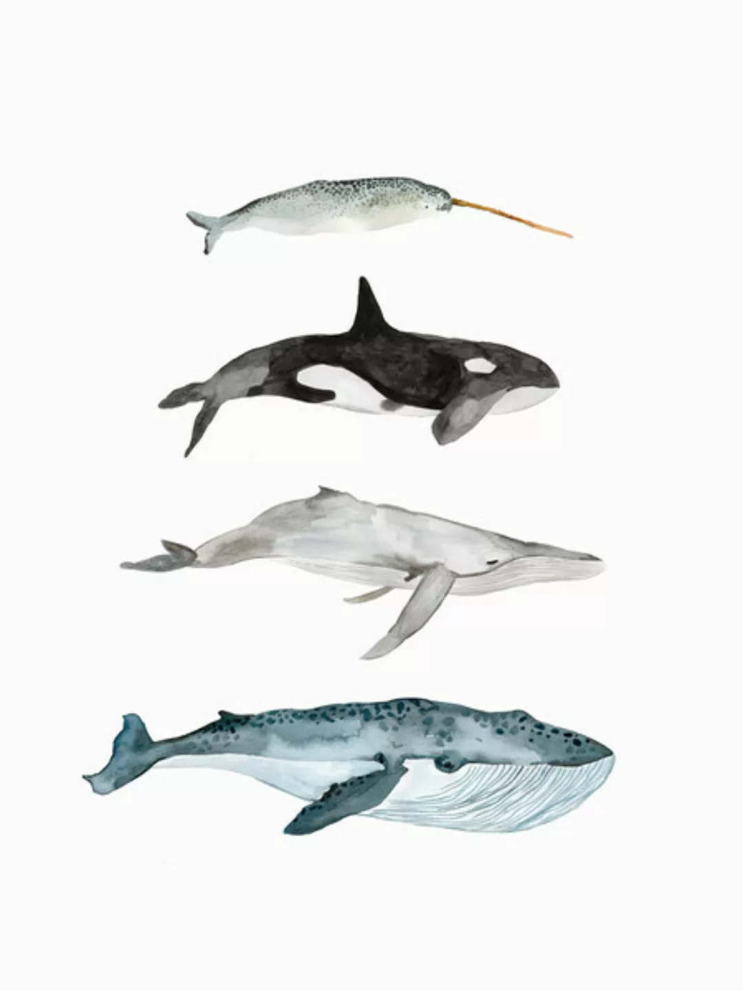 Poster / Leinwandbild - Sea Life - Whales günstig online kaufen