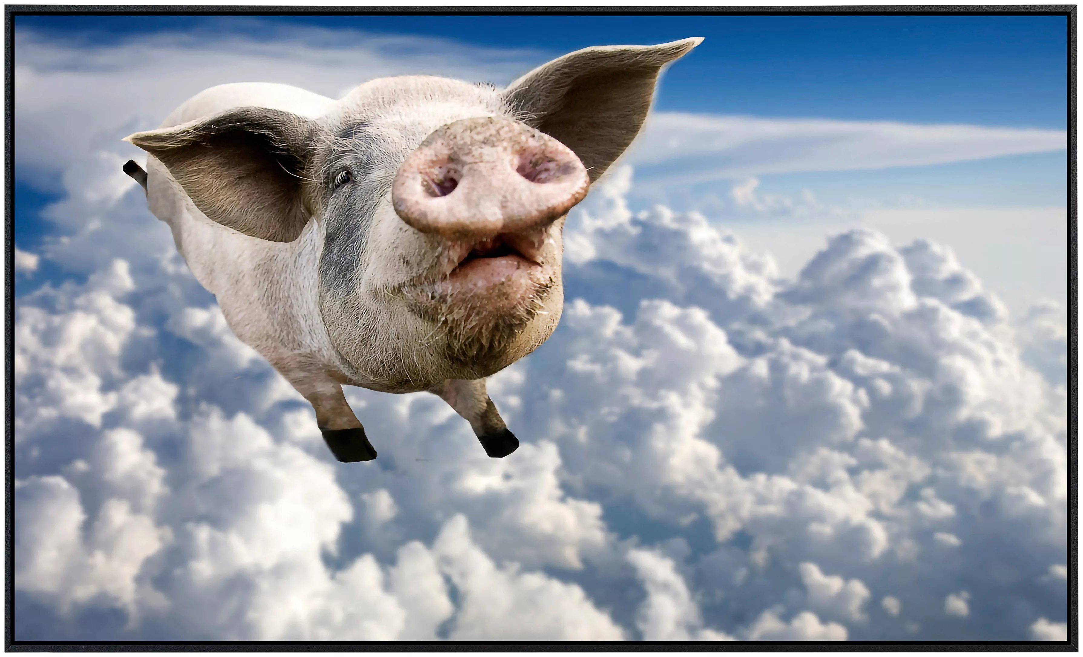Papermoon Infrarotheizung »Fliegendes Schwein« günstig online kaufen