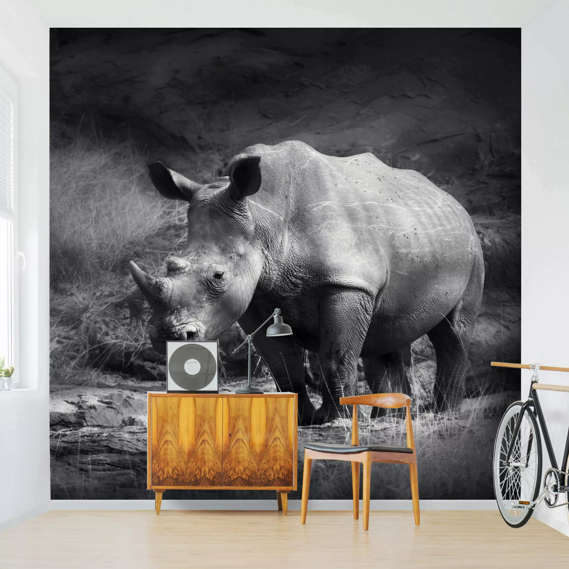 Fototapete Lonesome Rhinoceros günstig online kaufen