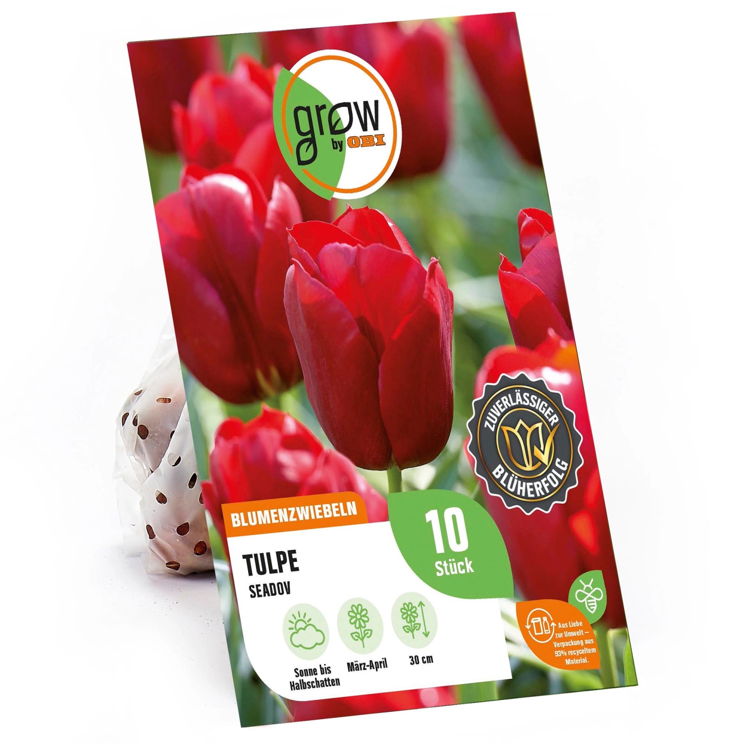 GROW by OBI Triumph-Tulpe Seadov Rot 30 cm Tulipa günstig online kaufen