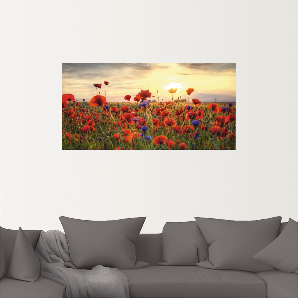 Artland Wandbild "Mohnblumen", Blumen, (1 St.), als Alubild, Outdoorbild, L günstig online kaufen