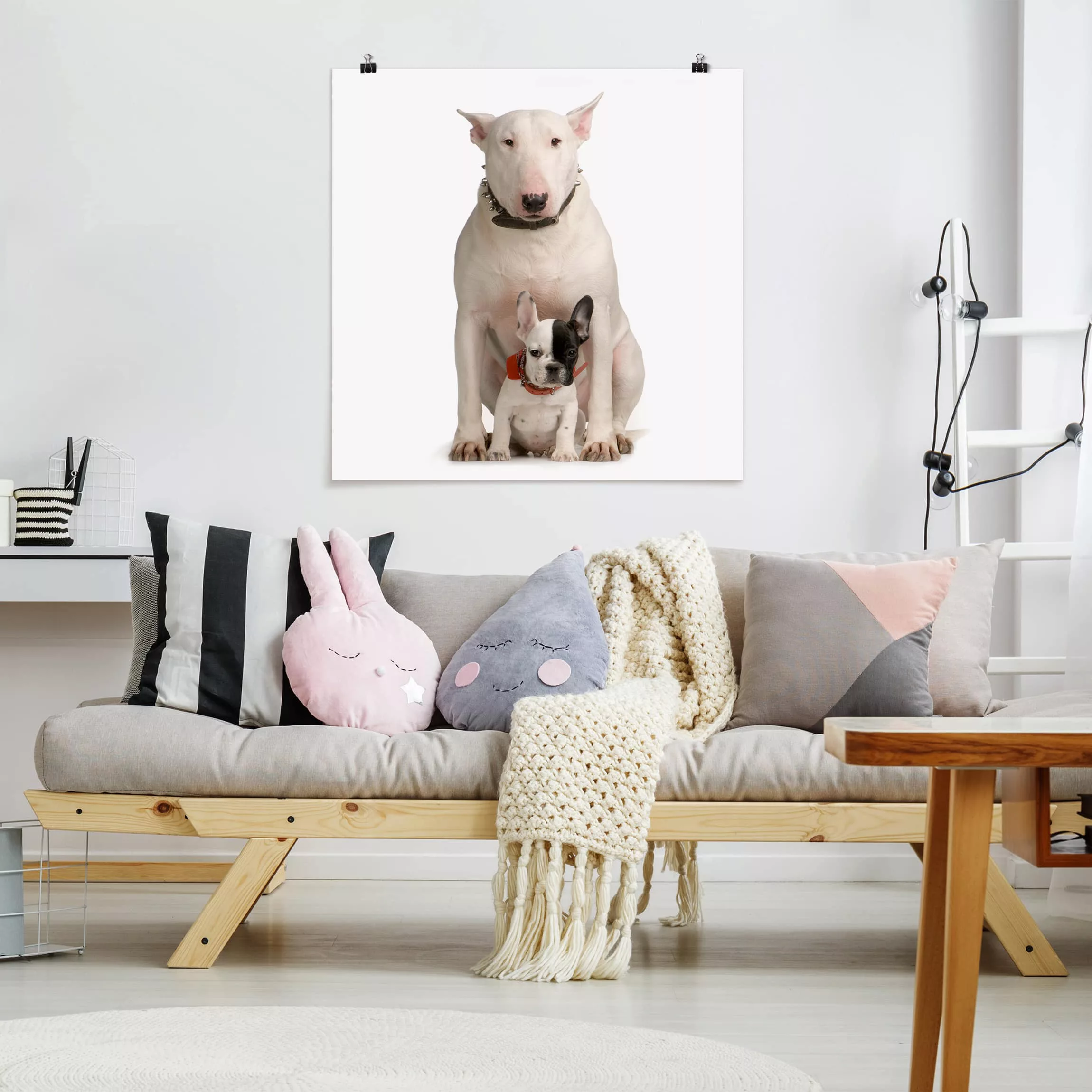 Poster Tiere - Quadrat Bull Terrier and friend günstig online kaufen