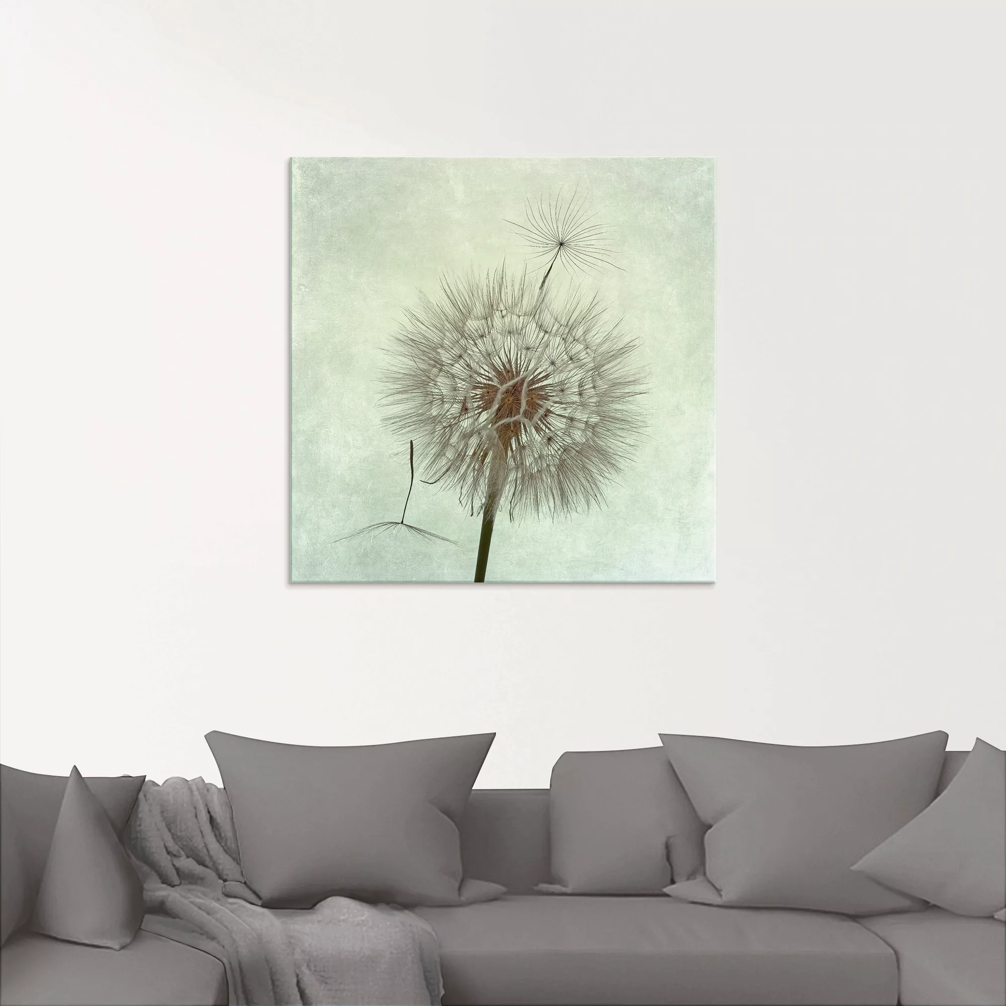 Artland Glasbild "Pusteblume II", Blumen, (1 St.), in verschiedenen Größen günstig online kaufen