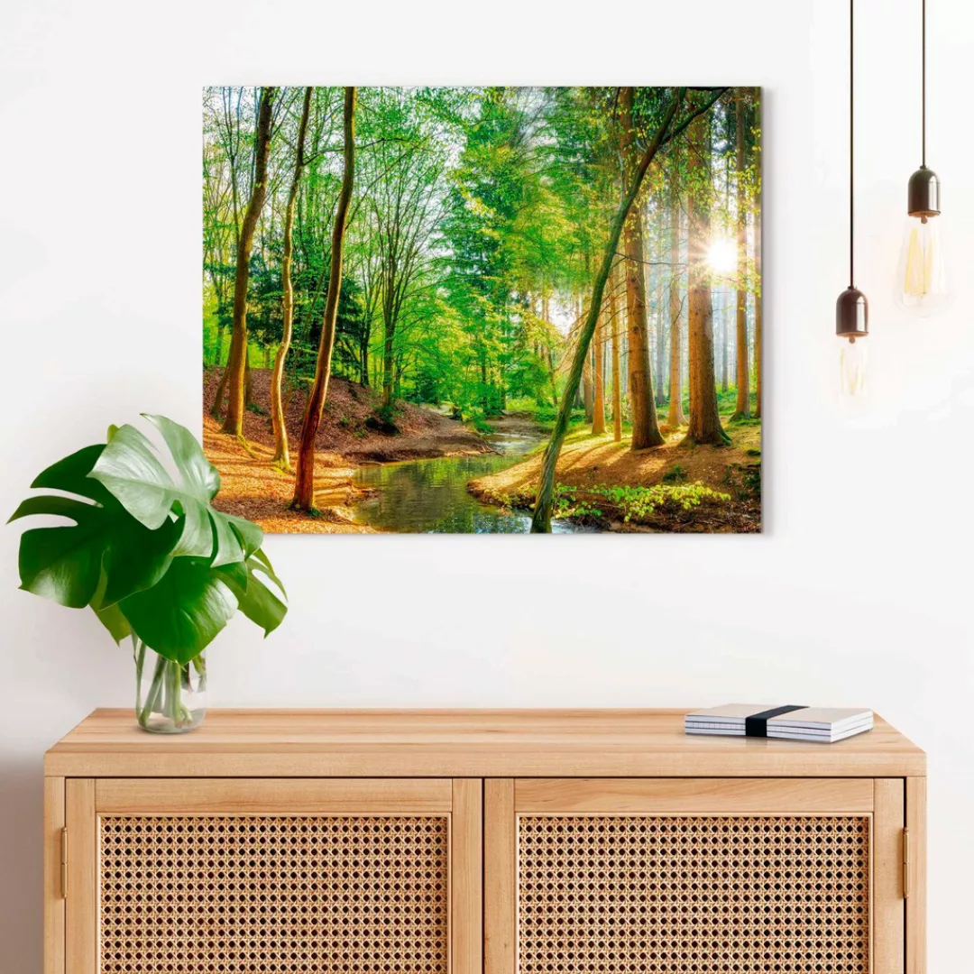 Reinders Deco-Panel "Sonniger Wald" günstig online kaufen