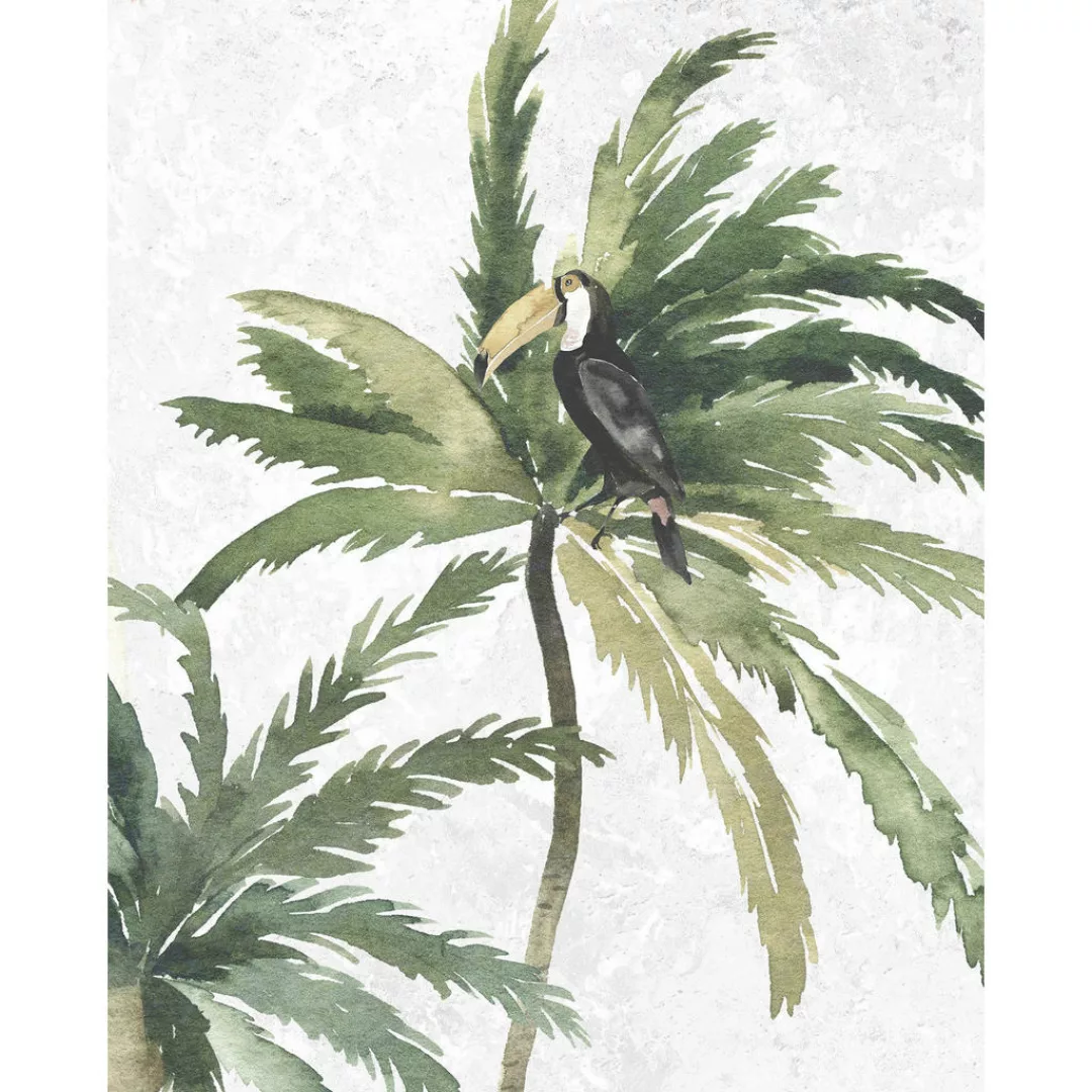 Komar Bild "Tropical Toucan", Natur, (1 St.), Wandbild zur Dekoration - ohn günstig online kaufen