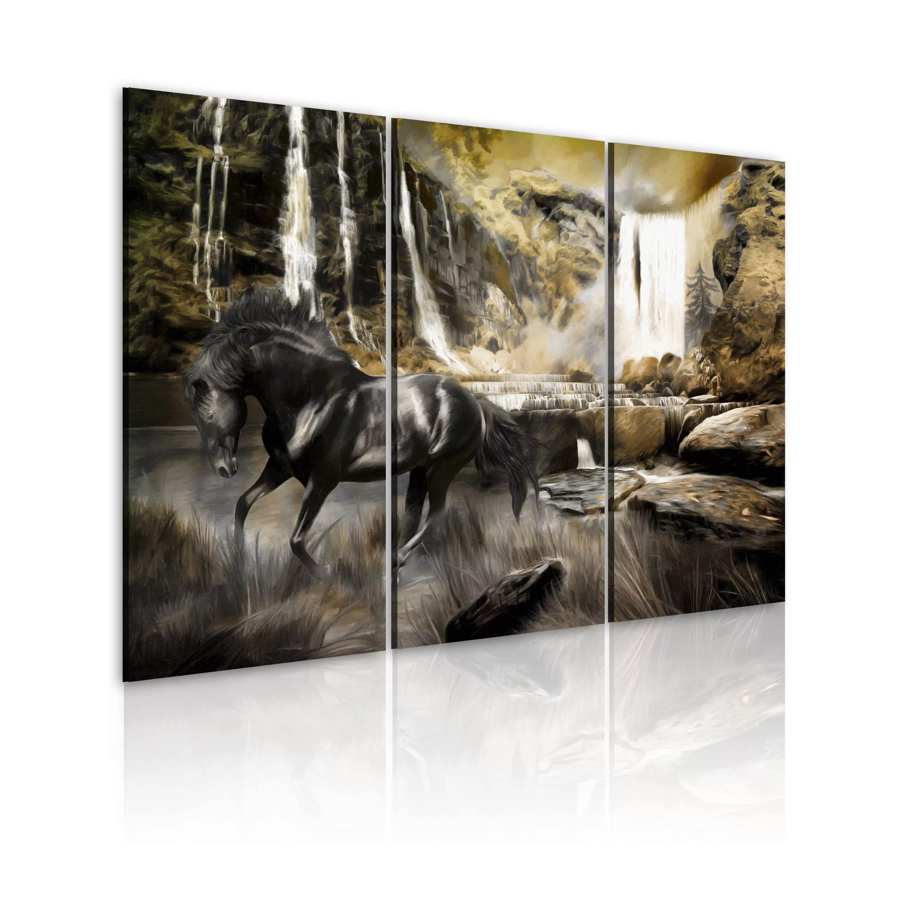 Wandbild - Schwarzes Pferd und Wasserfall günstig online kaufen
