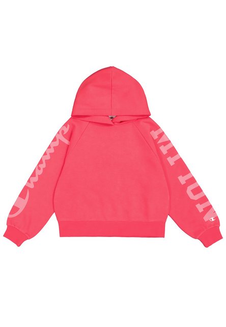 Champion Kapuzensweatshirt Hooded Sweatshirt günstig online kaufen