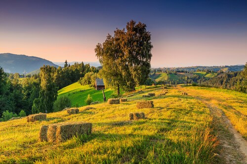 Papermoon Fototapete »ALPINE LANDSCHAFT« günstig online kaufen