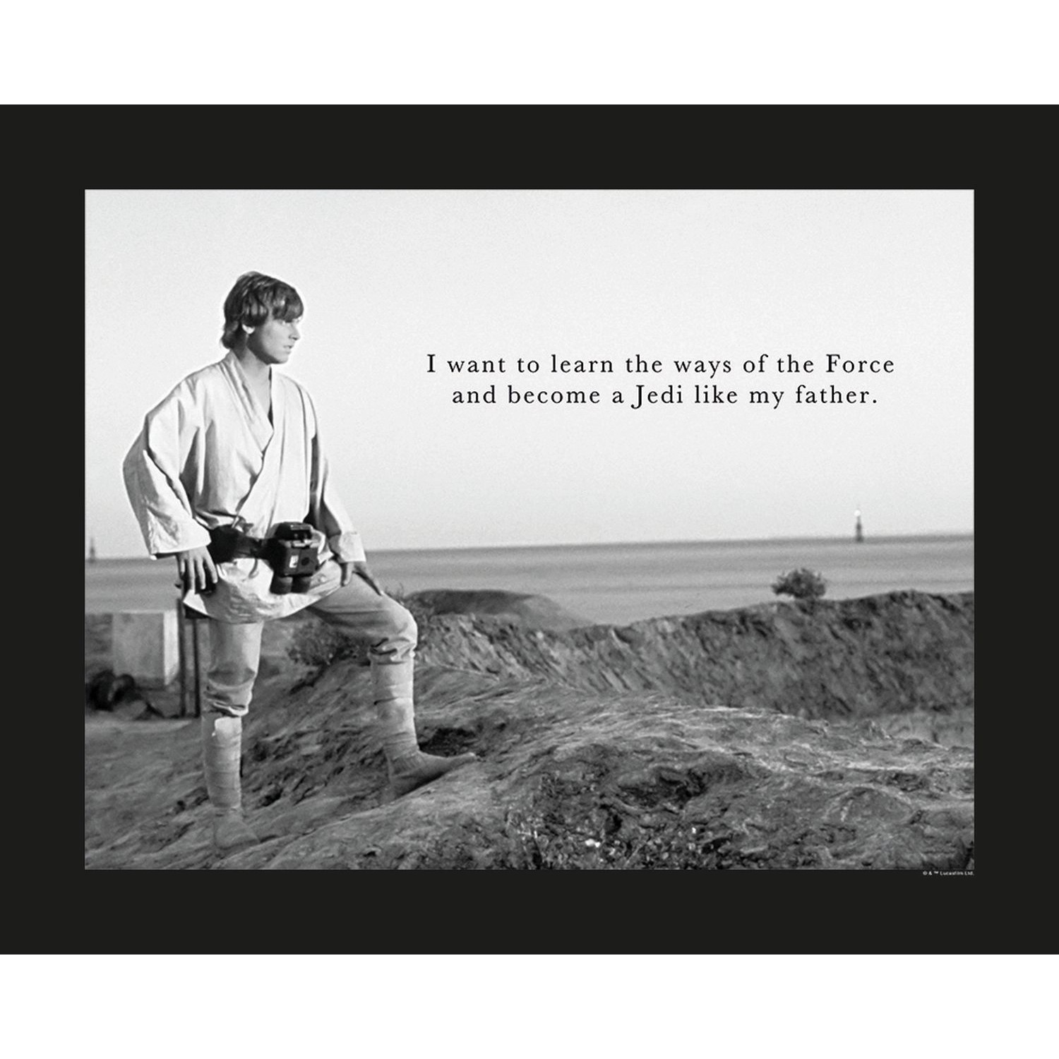 Disney Poster Star Wars Luke Skywalker Schwarz-Weiß 50 x 40 cm 610258 günstig online kaufen