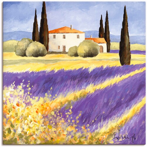 Artland Leinwandbild "Licht der Provence", Felder, (1 St.), auf Keilrahmen günstig online kaufen