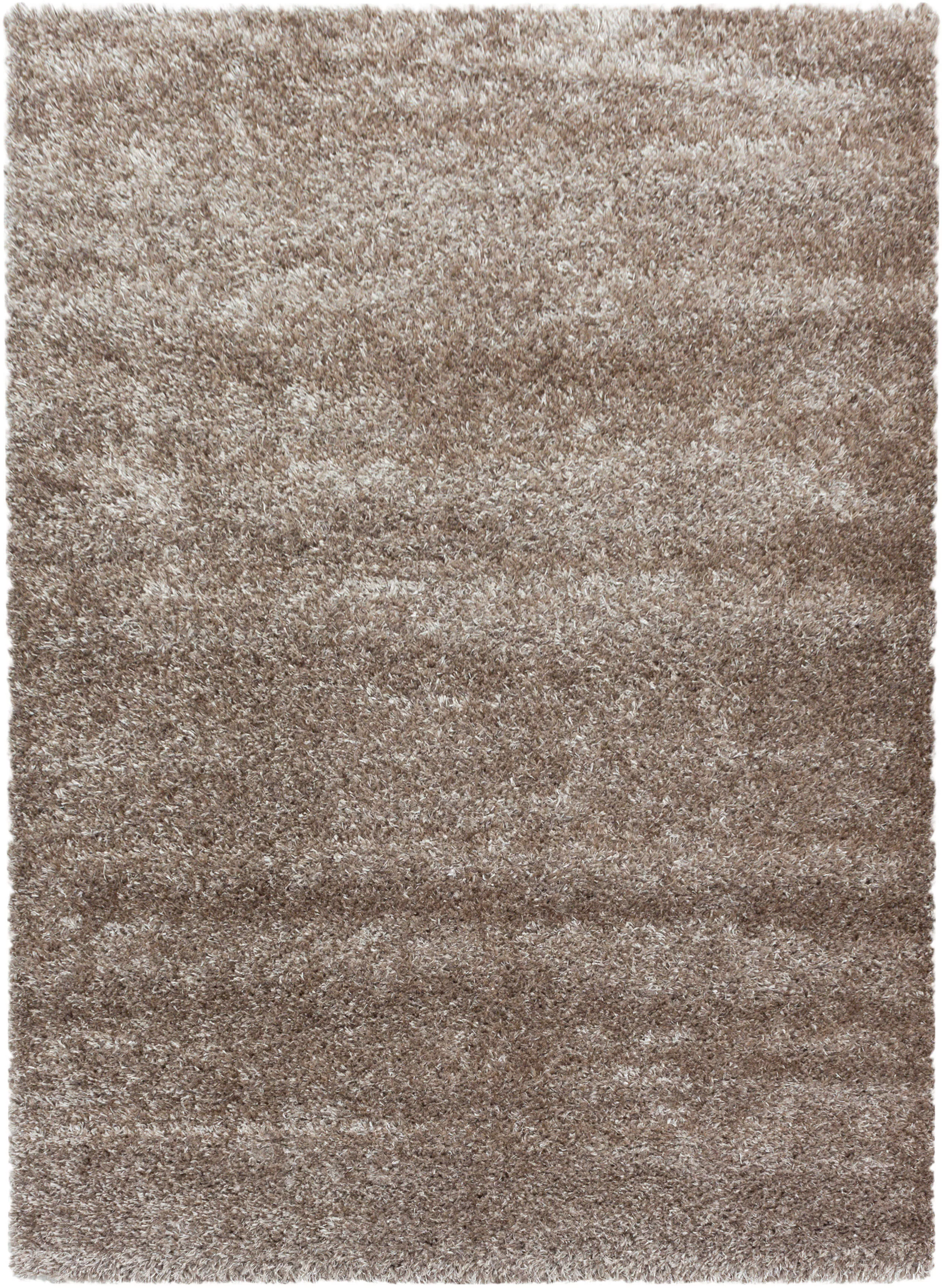 Ayyildiz Teppich BRILLIANT taupe B/L: ca. 240x340 cm günstig online kaufen