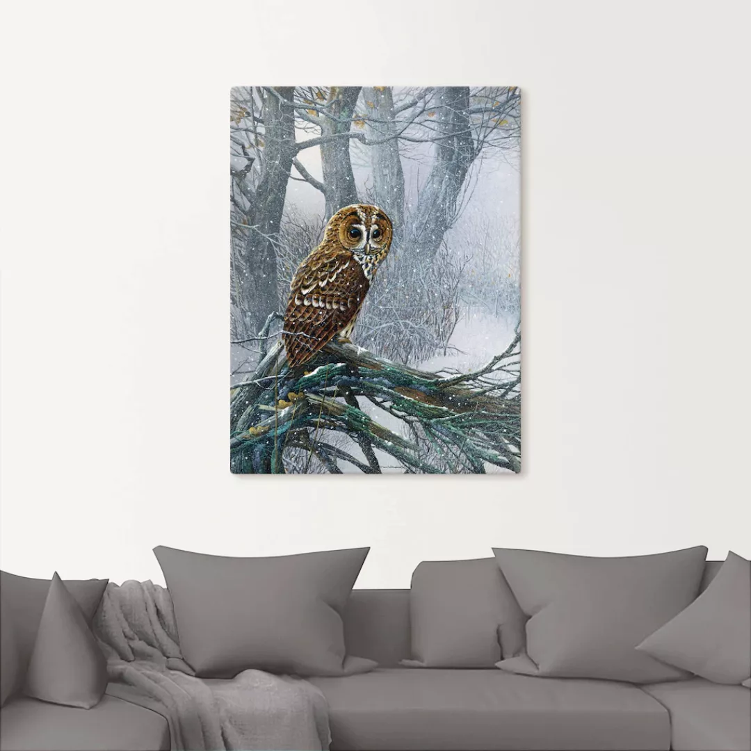 Artland Wandbild "Eule in verschneitem Wald", Vögel, (1 St.) günstig online kaufen