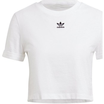 adidas  T-Shirt Crop Top günstig online kaufen